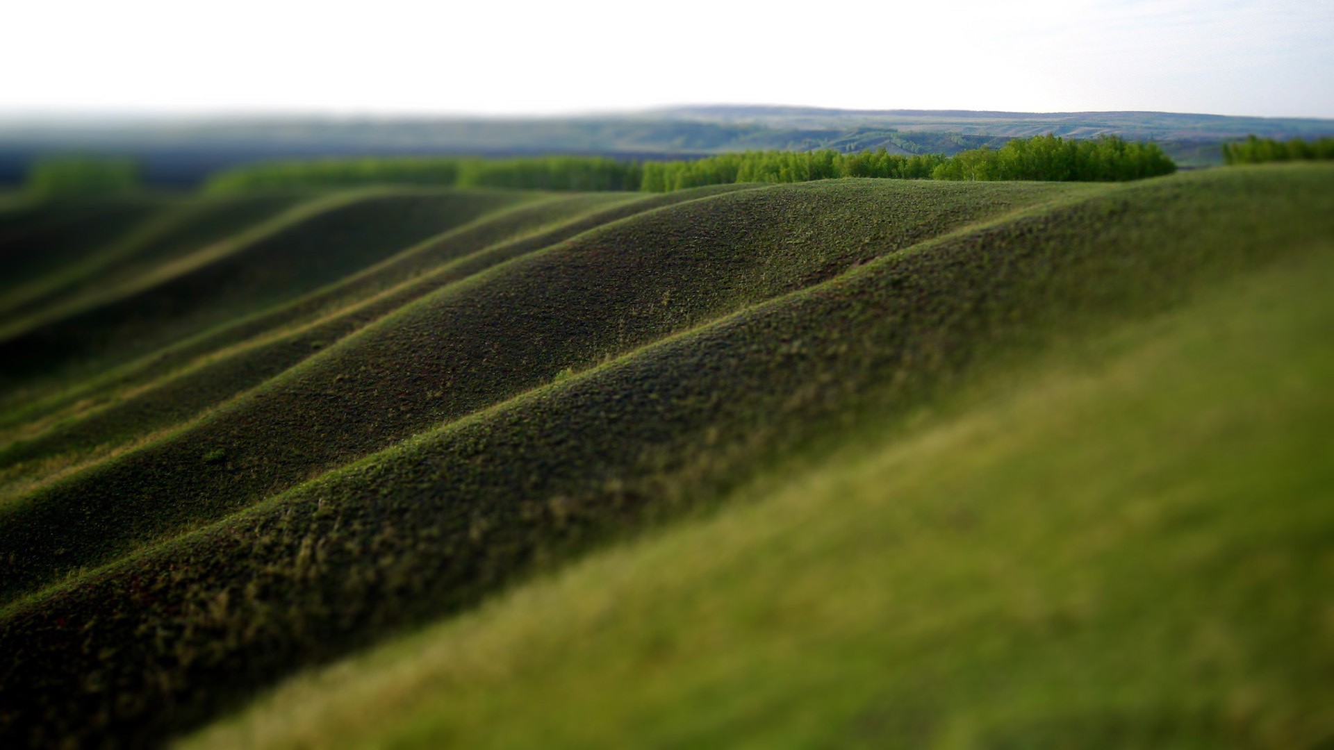 General 1920x1080 blurred landscape grass hills tilt shift field outdoors