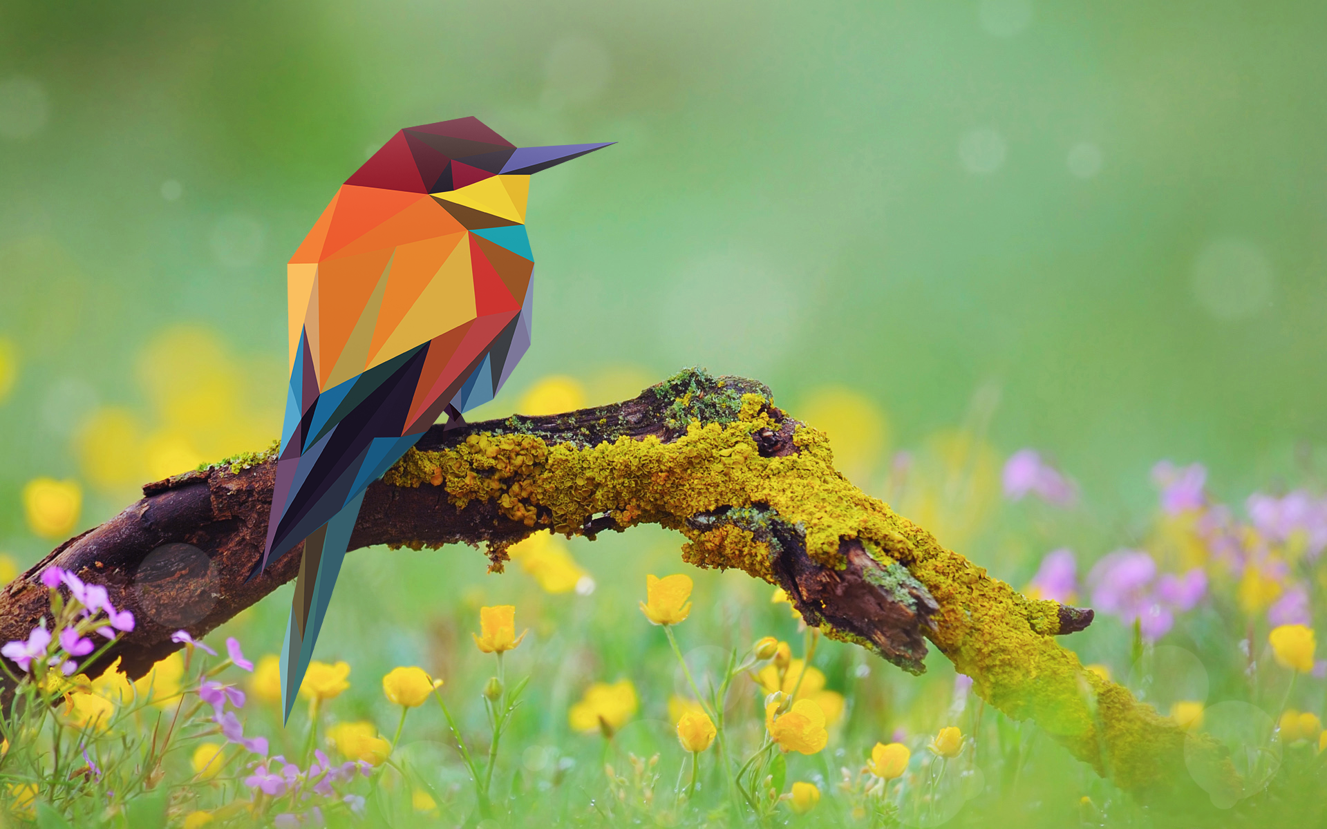 General 1920x1200 bee-eaters birds branch moss flowers low poly abstract animals digital art
