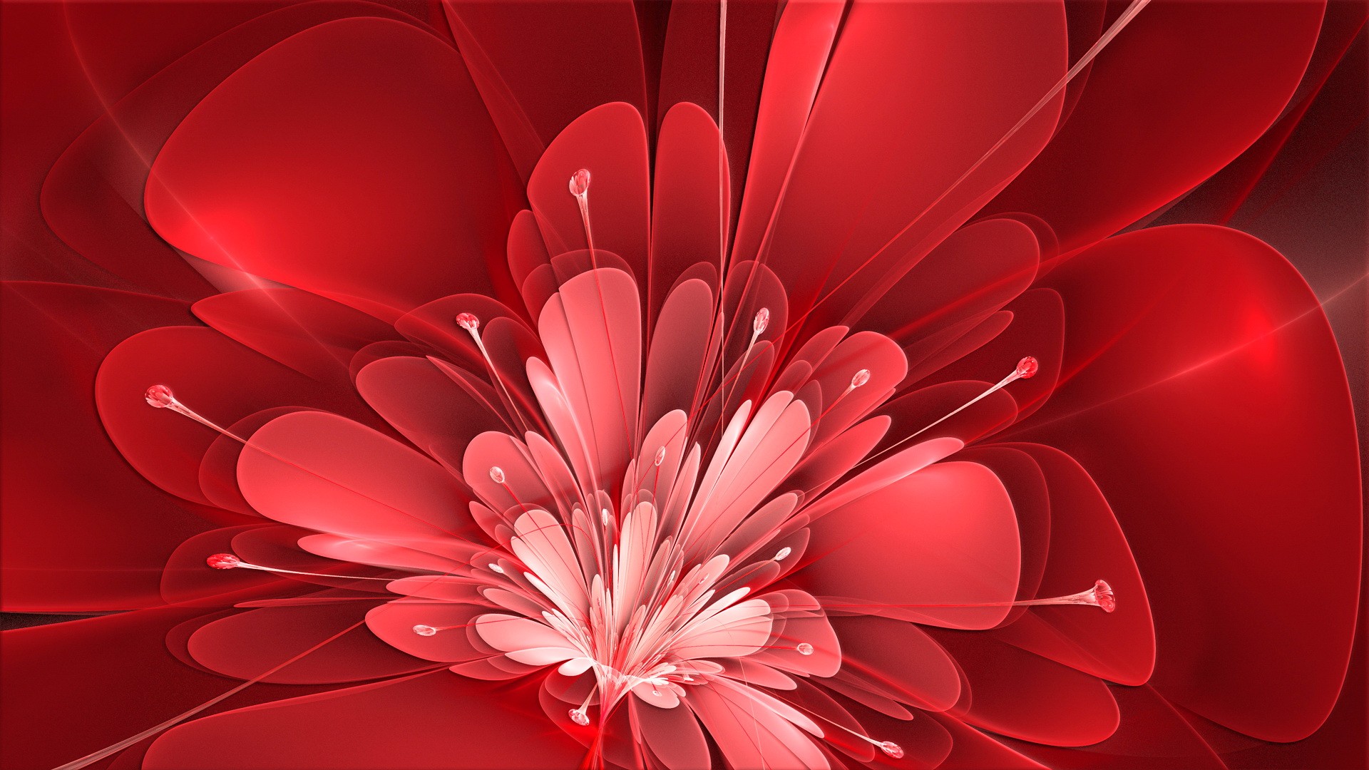 General 1920x1080 flowers red artwork digital art plants Linux