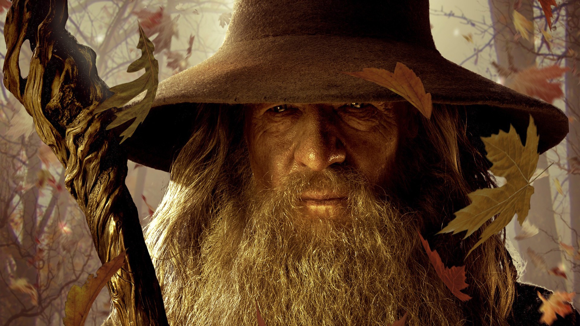 People 1920x1080 Gandalf wizard hat The Lord of the Rings Ian McKellen staff beard men actor movies