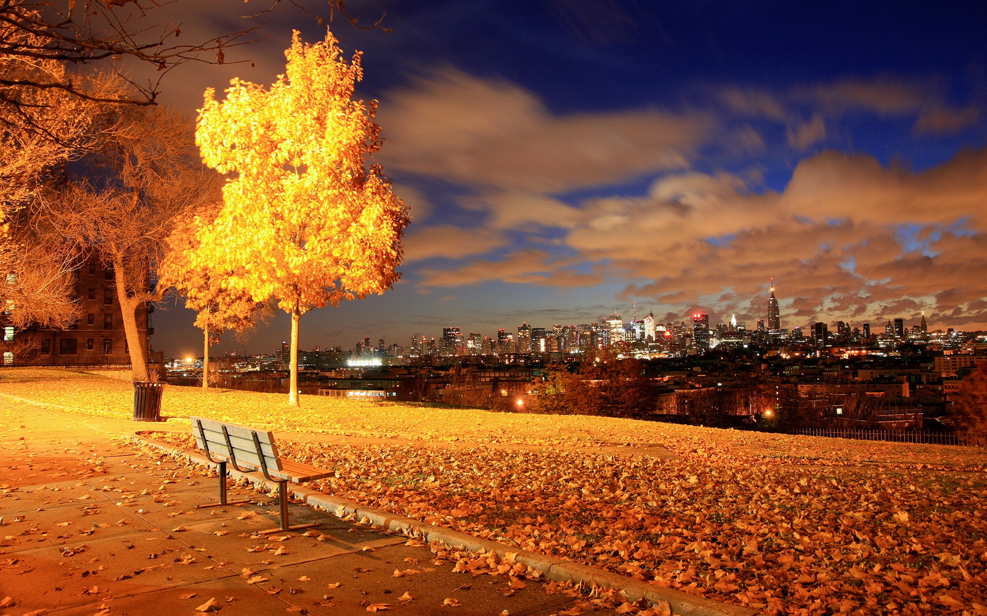 General 1920x1200 photography urban night lights cityscape fall leaves trees bench