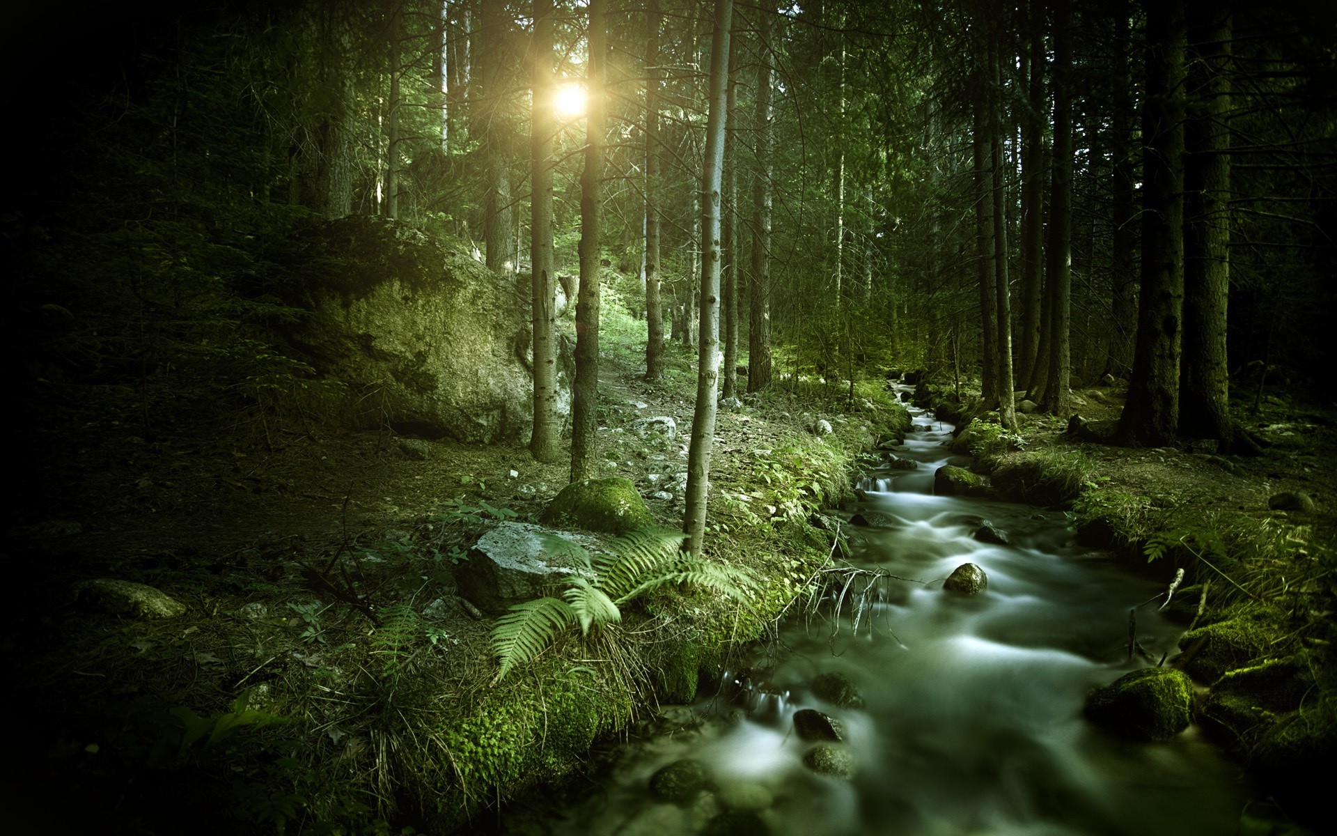 General 1920x1200 forest trees nature water outdoors creeks