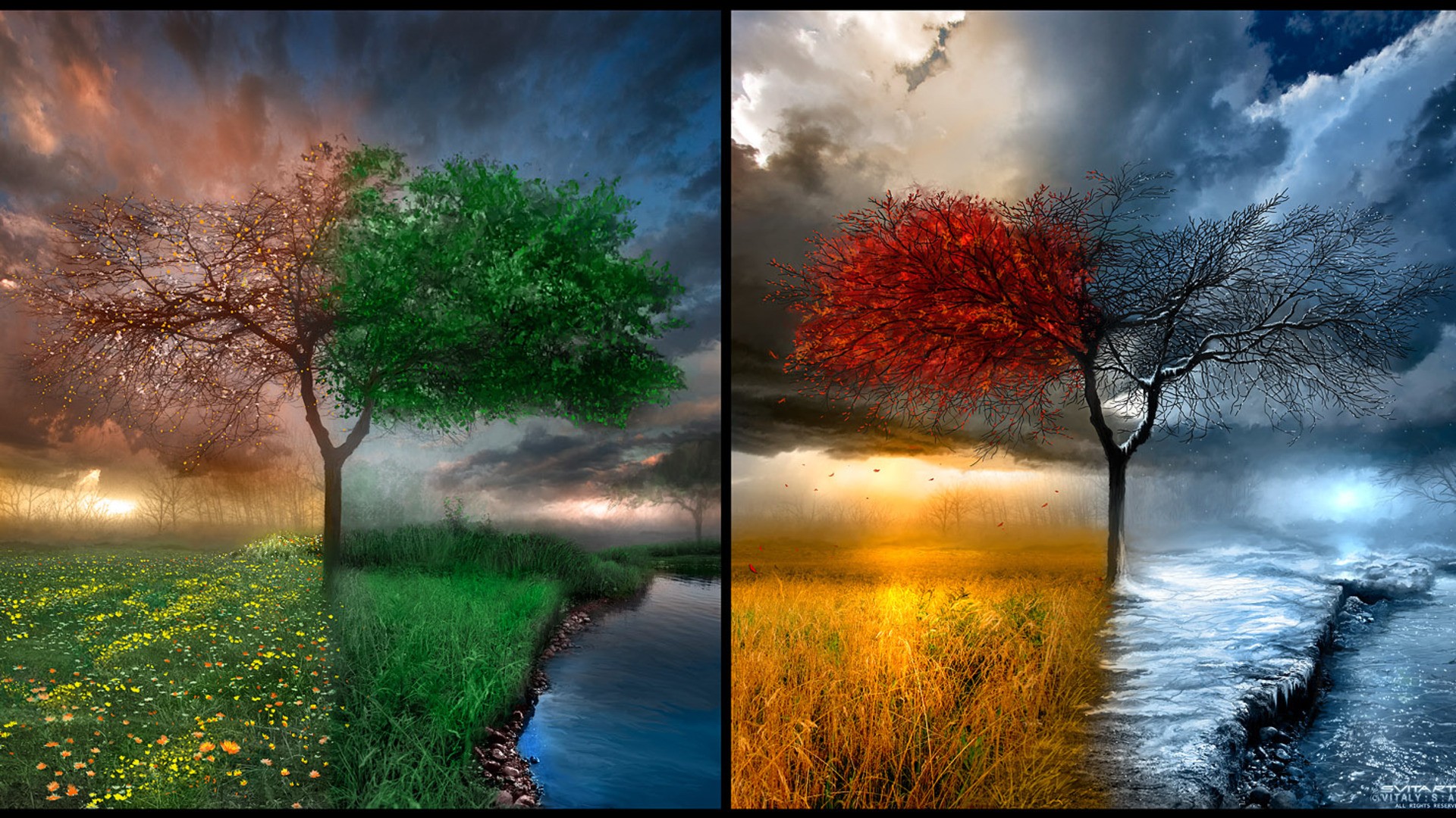 General 1920x1080 nature seasons collage trees landscape