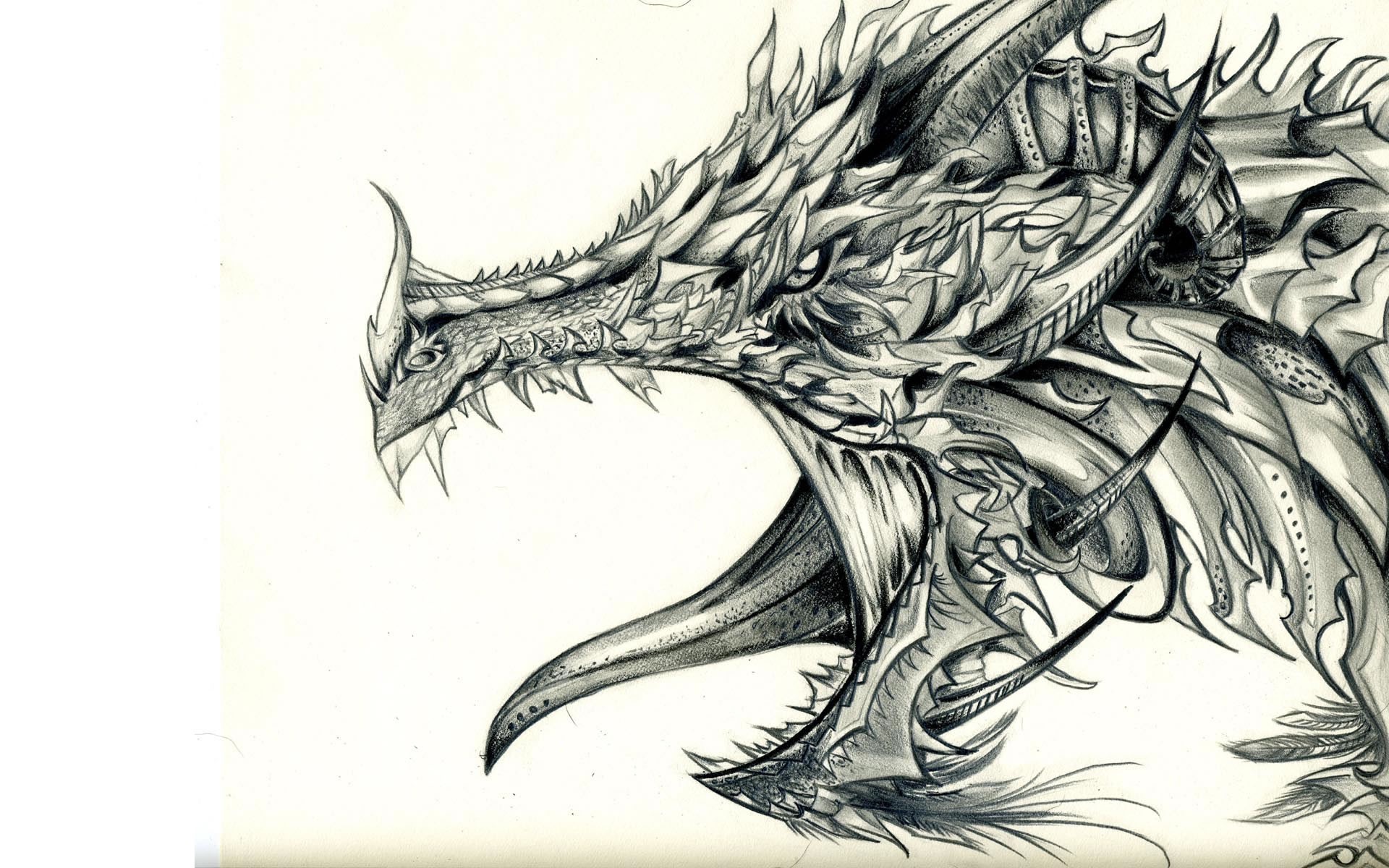 General 1920x1200 dragon white background fantasy art drawing creature simple background