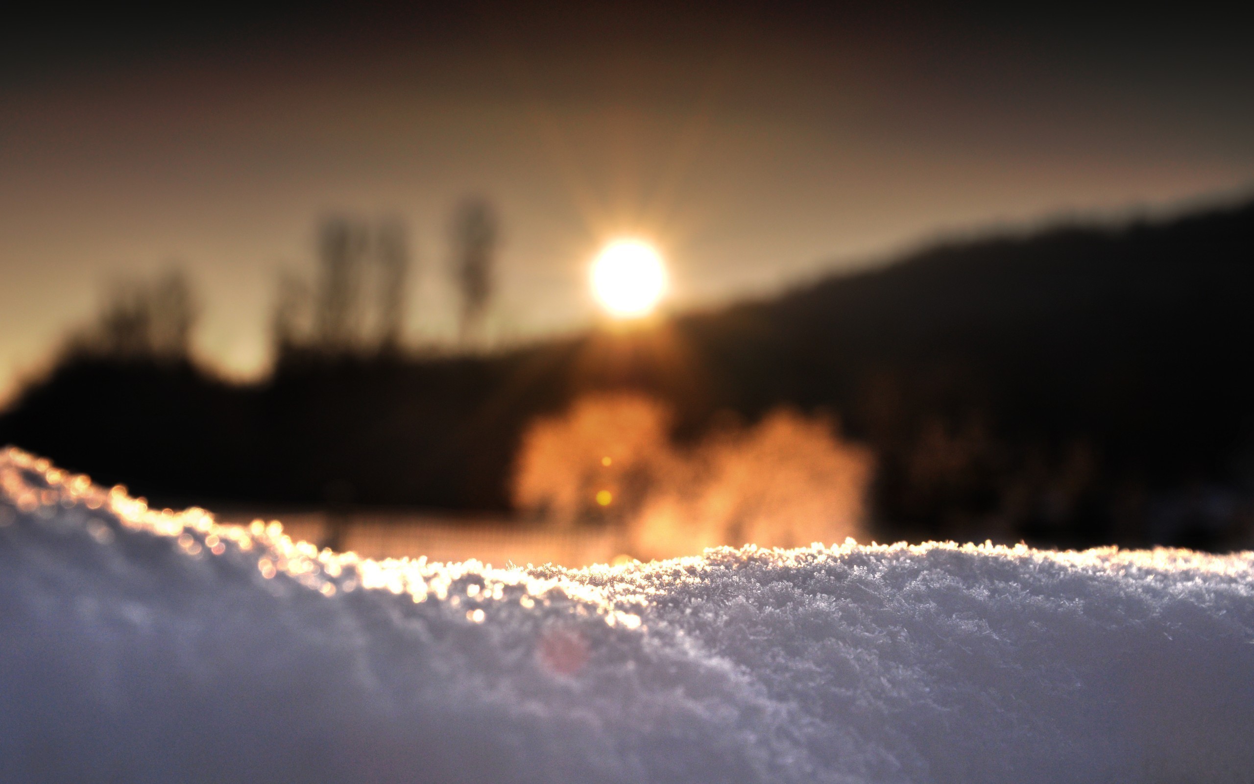 General 2560x1600 winter snow depth of field Sun outdoors cold sunlight macro