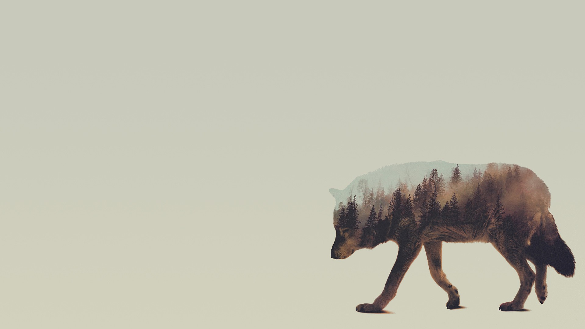 General 1920x1080 double exposure Andreas Lie animals wolf mammals simple background artwork nature