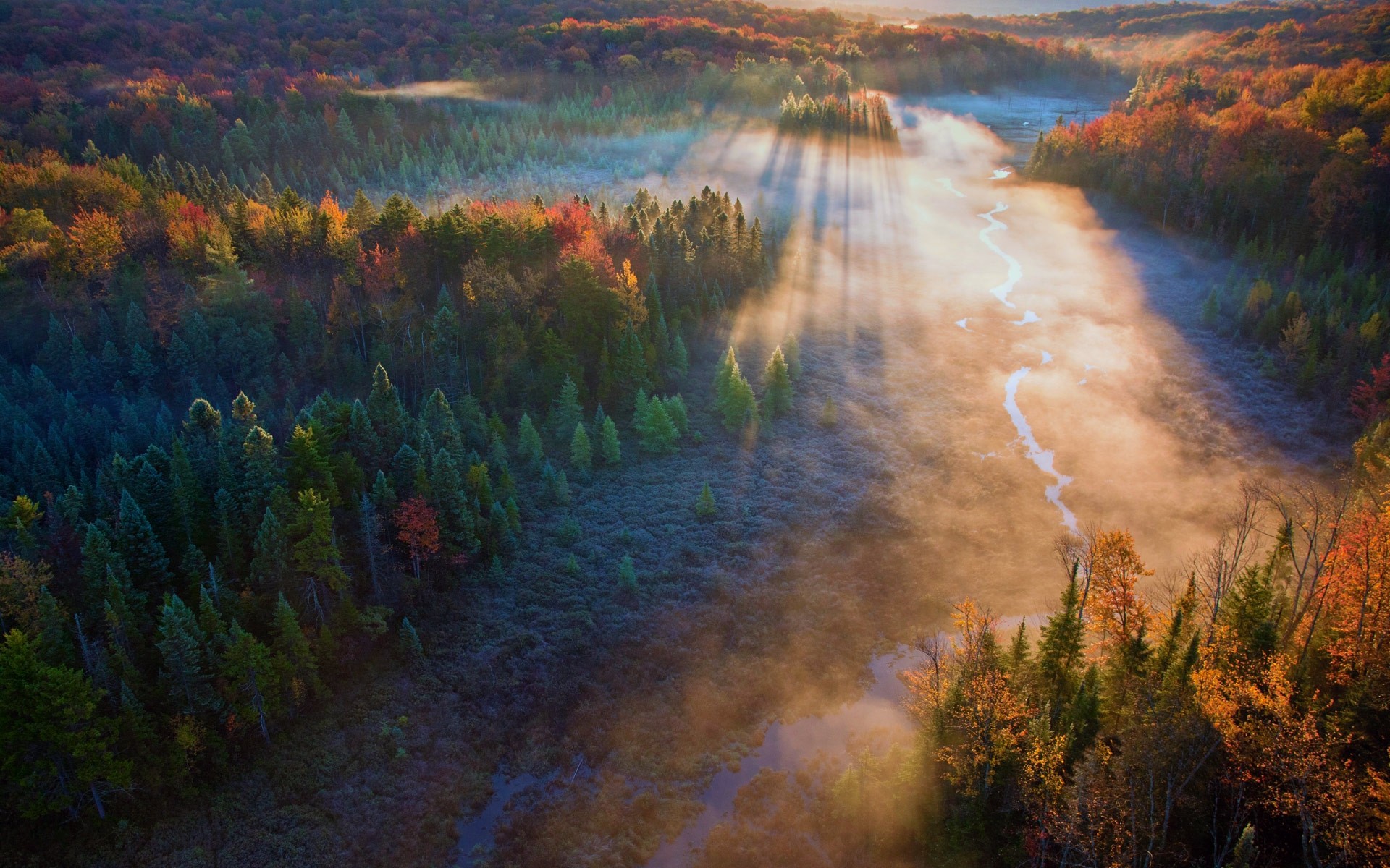 General 1920x1200 forest mist trees field river sun rays fall aerial view nature landscape swamp morning