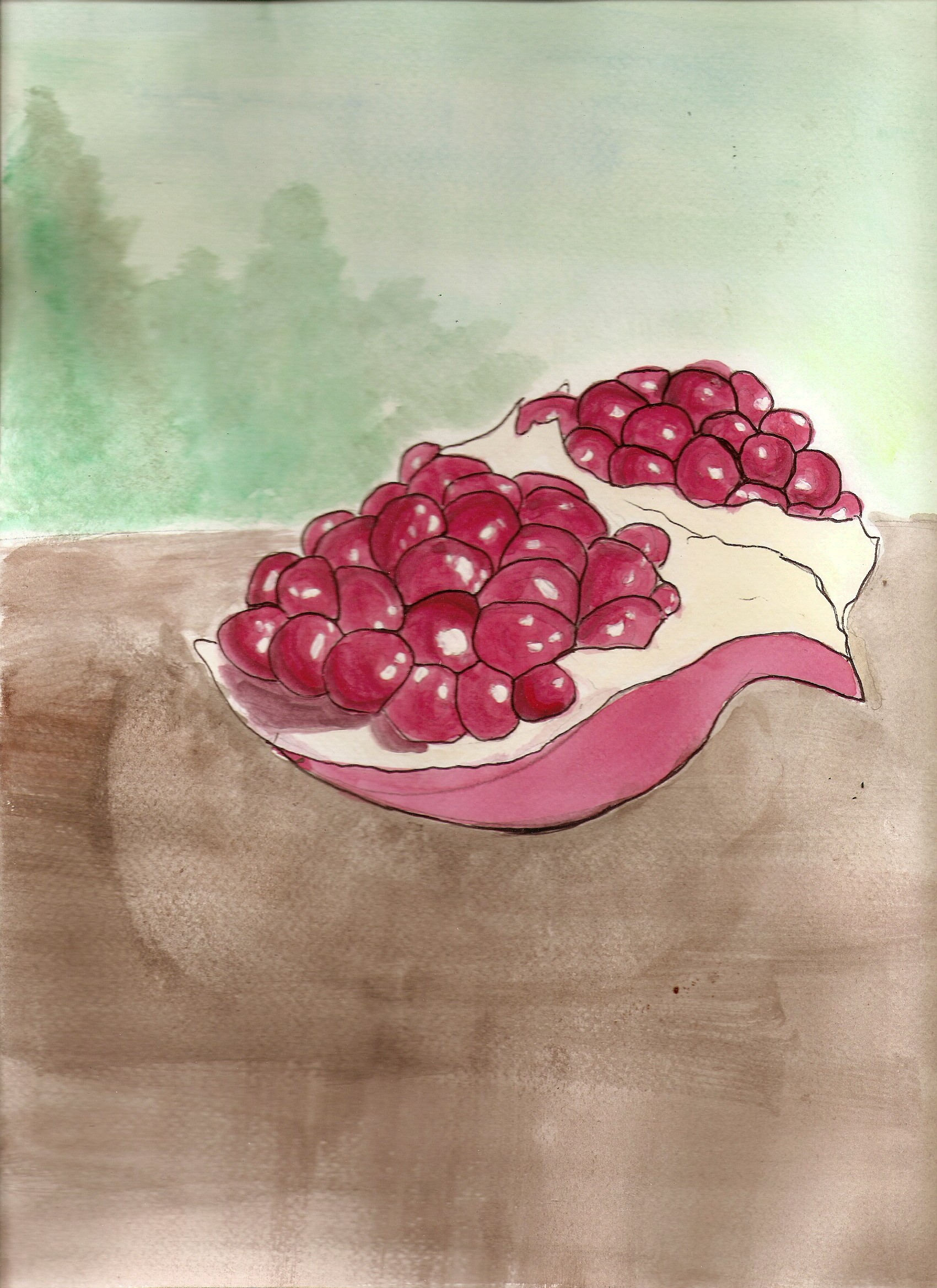 General 1700x2338 pomegranate artwork food fruit