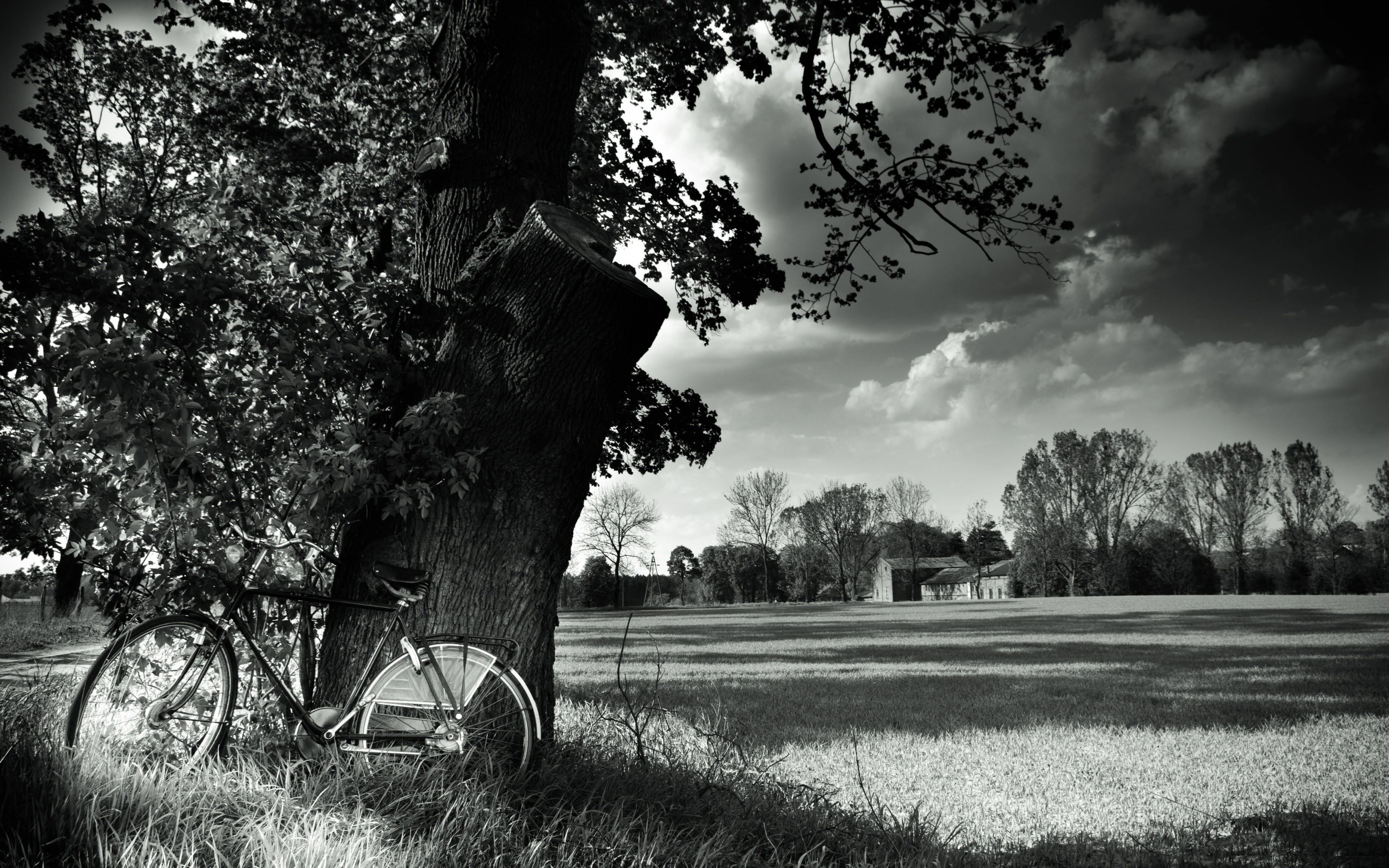 General 3840x2400 monochrome park bicycle field