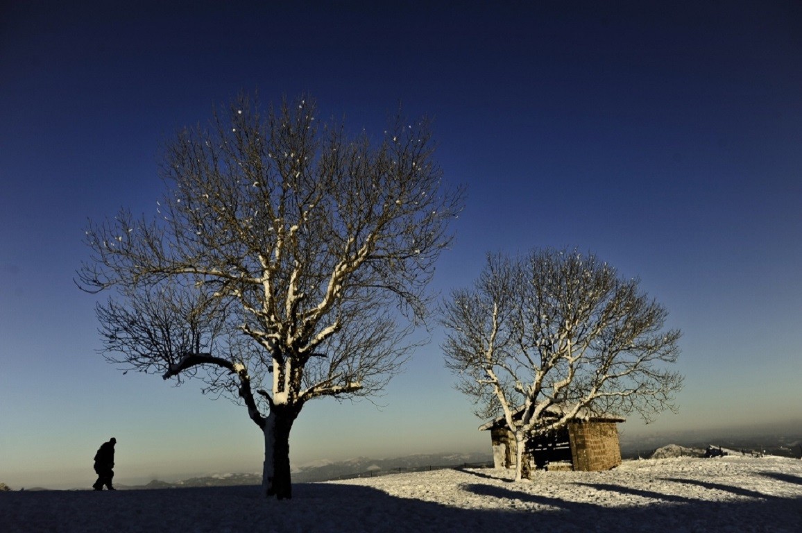 General 1156x768 trees outdoors cold winter