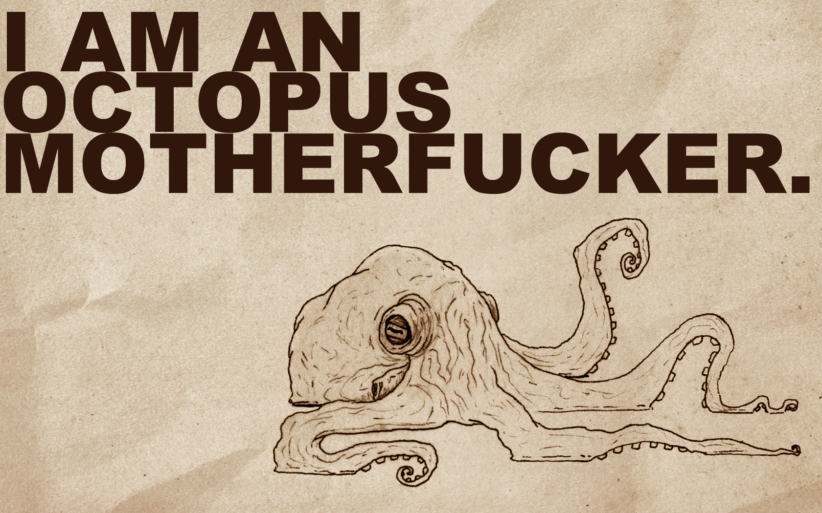 General 1680x1050 octopus typography animals fuck artwork