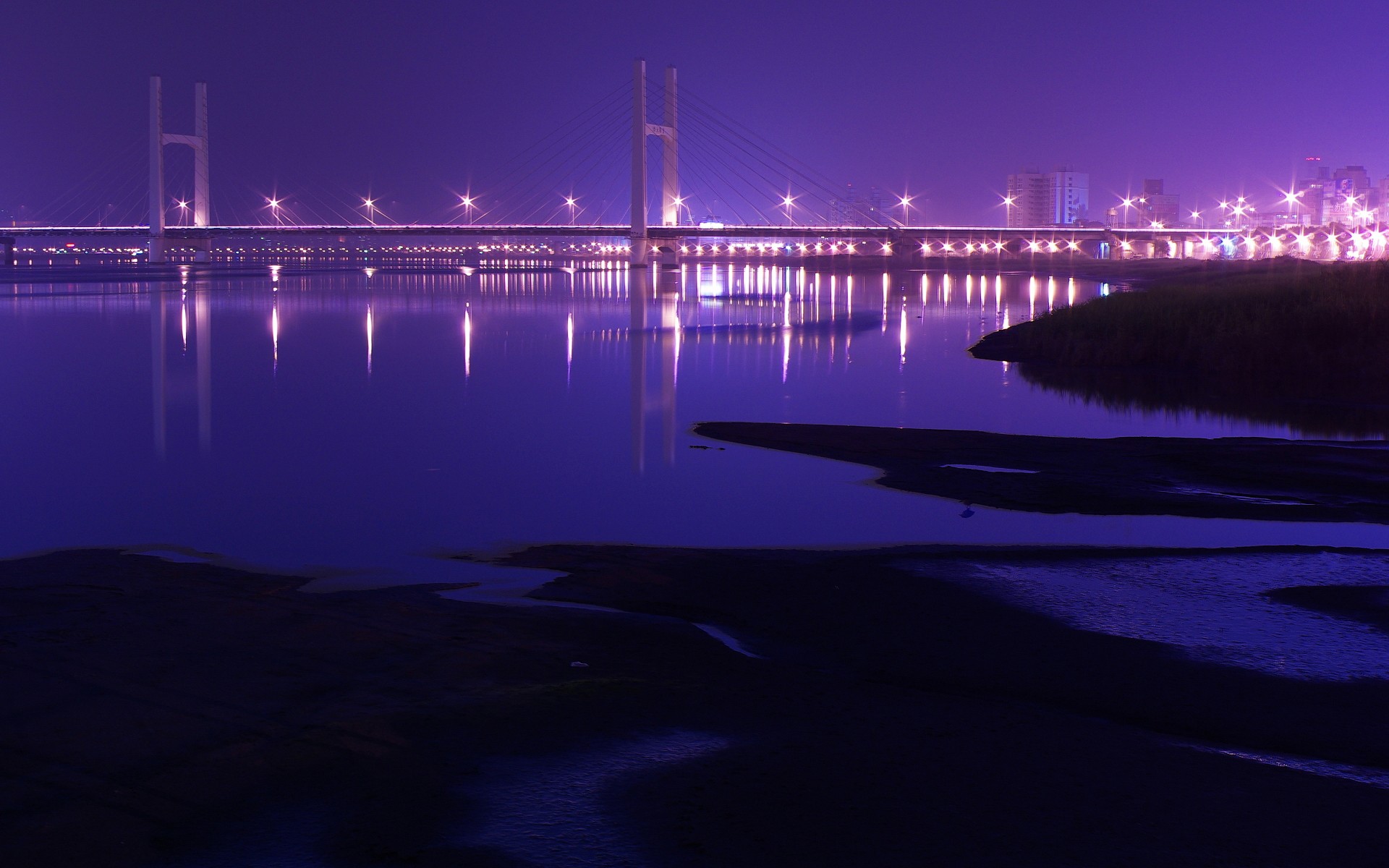 General 1920x1200 bridge night city lights suspension bridge purple
