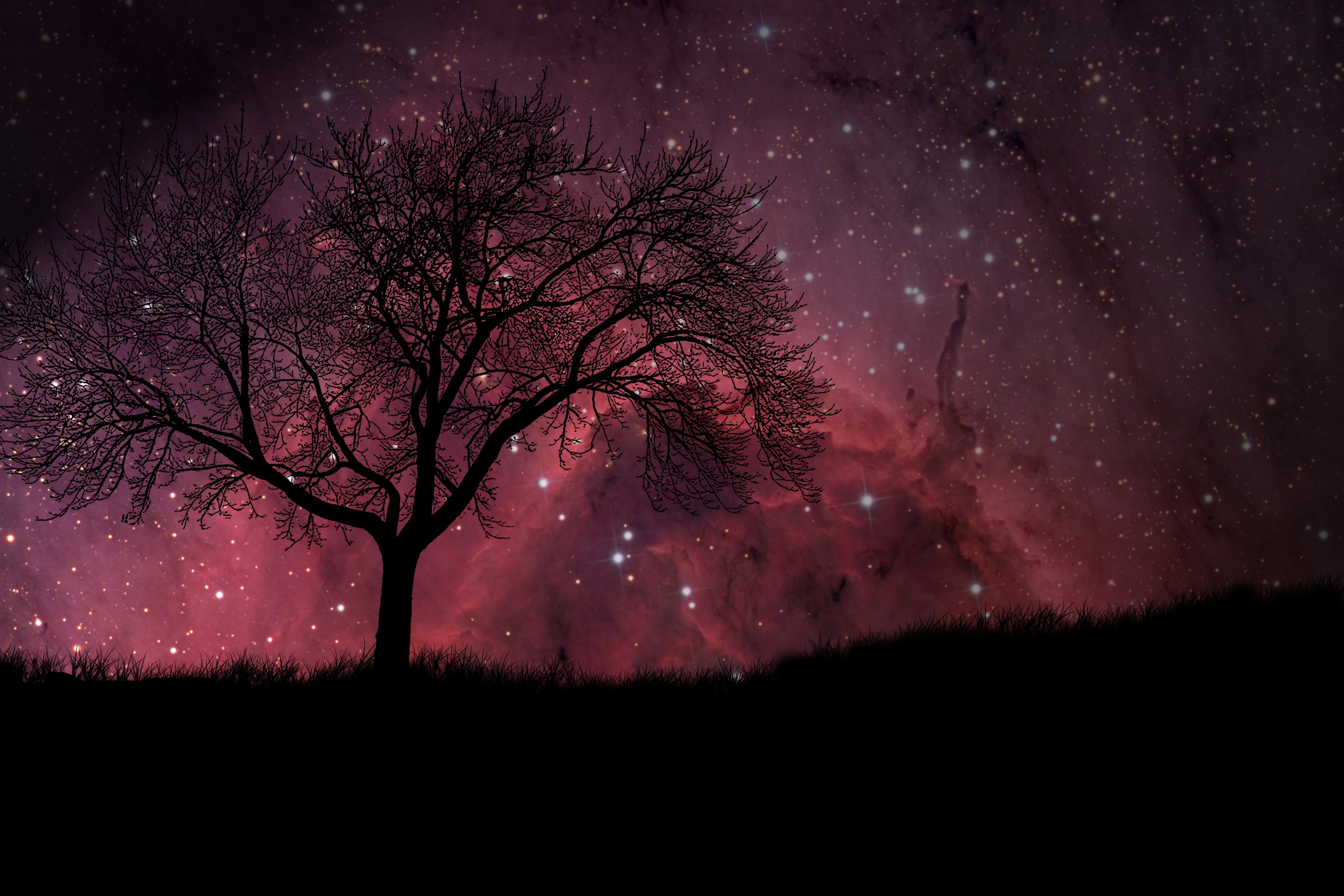 General 3787x2525 space art space stars trees red dark night sky outdoors