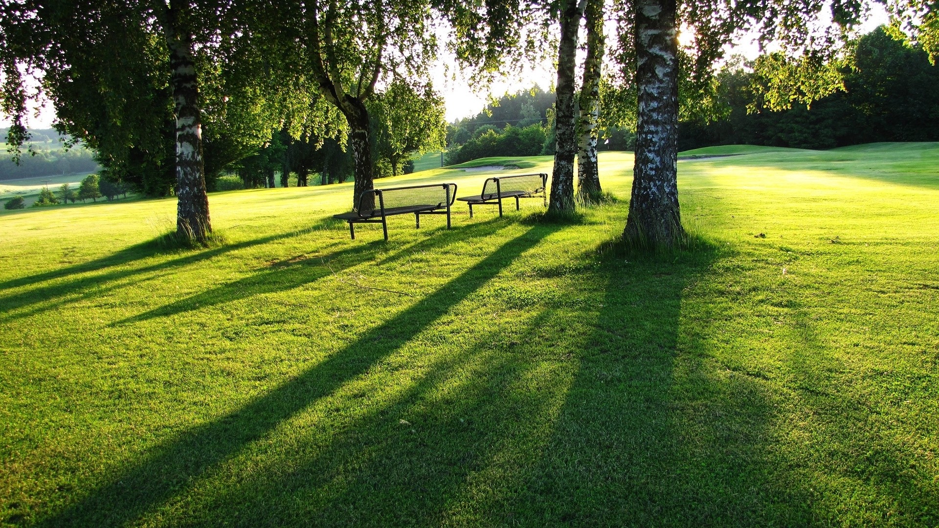 General 1920x1080 bench trees grass park outdoors plants