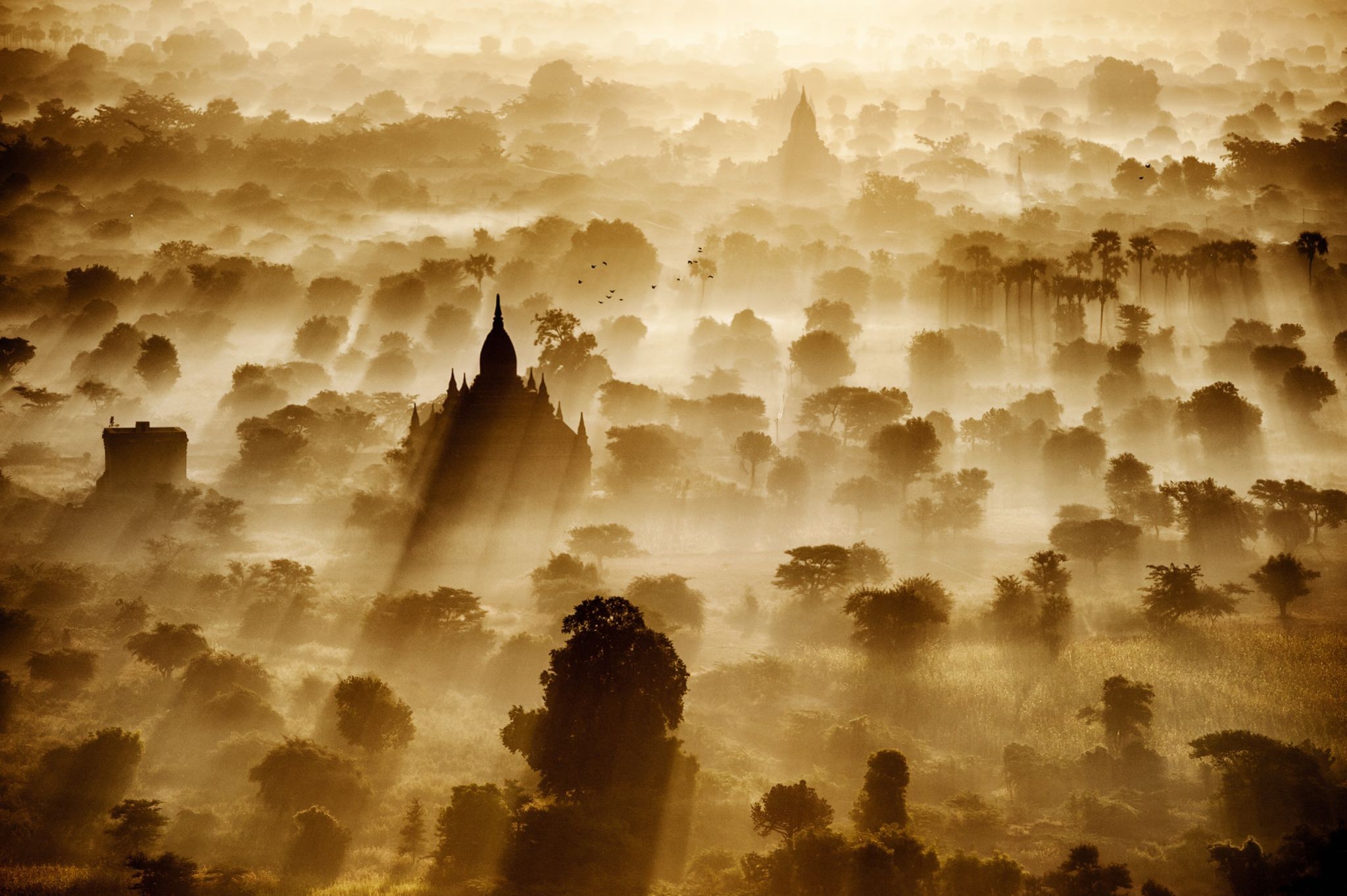 General 2048x1363 sun rays Bagan temple artwork Burma Myanmar landscape trees nature sunlight