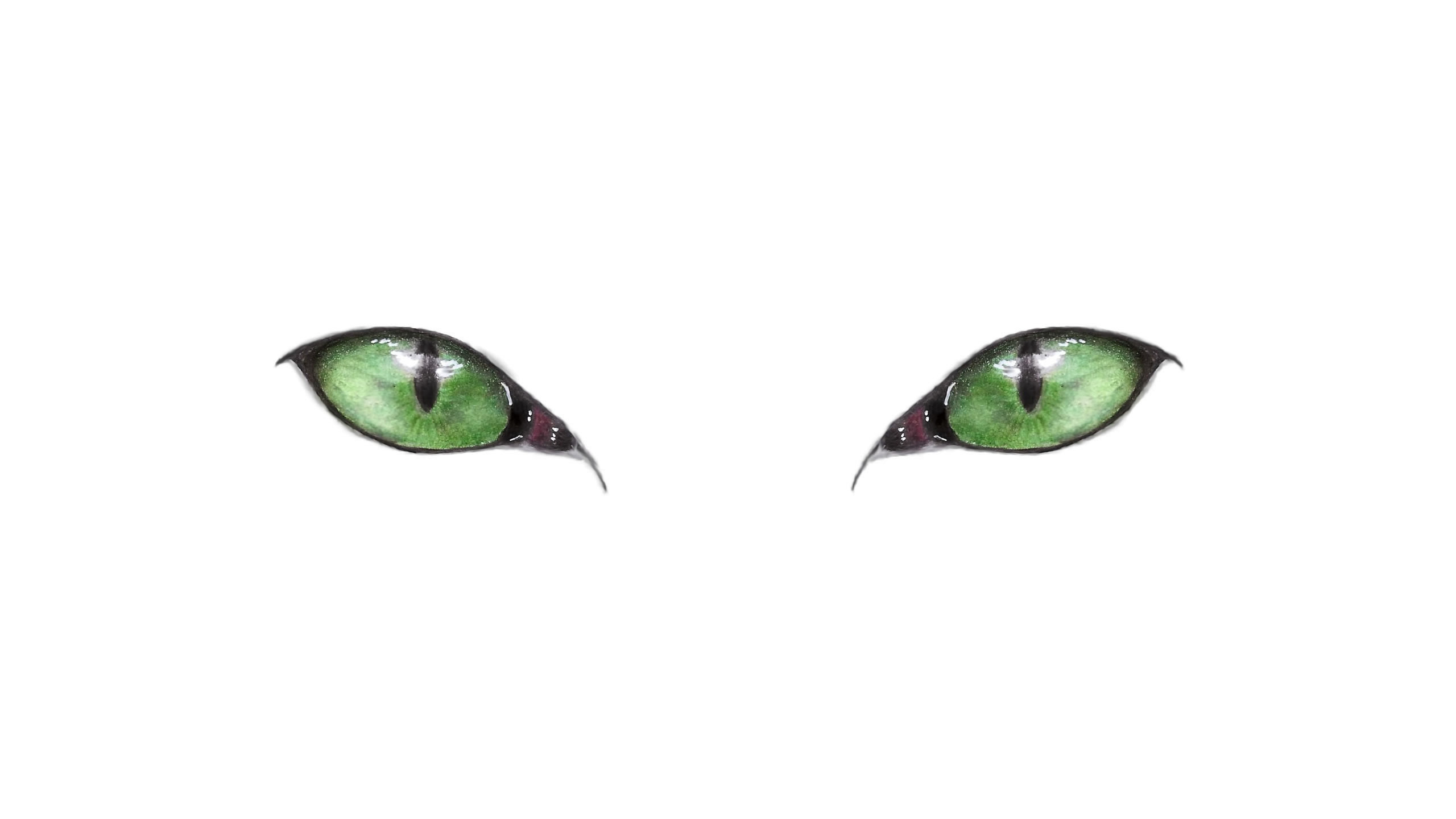 General 2560x1440 eyes cats simple background white background green eyes artwork pencil drawing drawing white minimalism