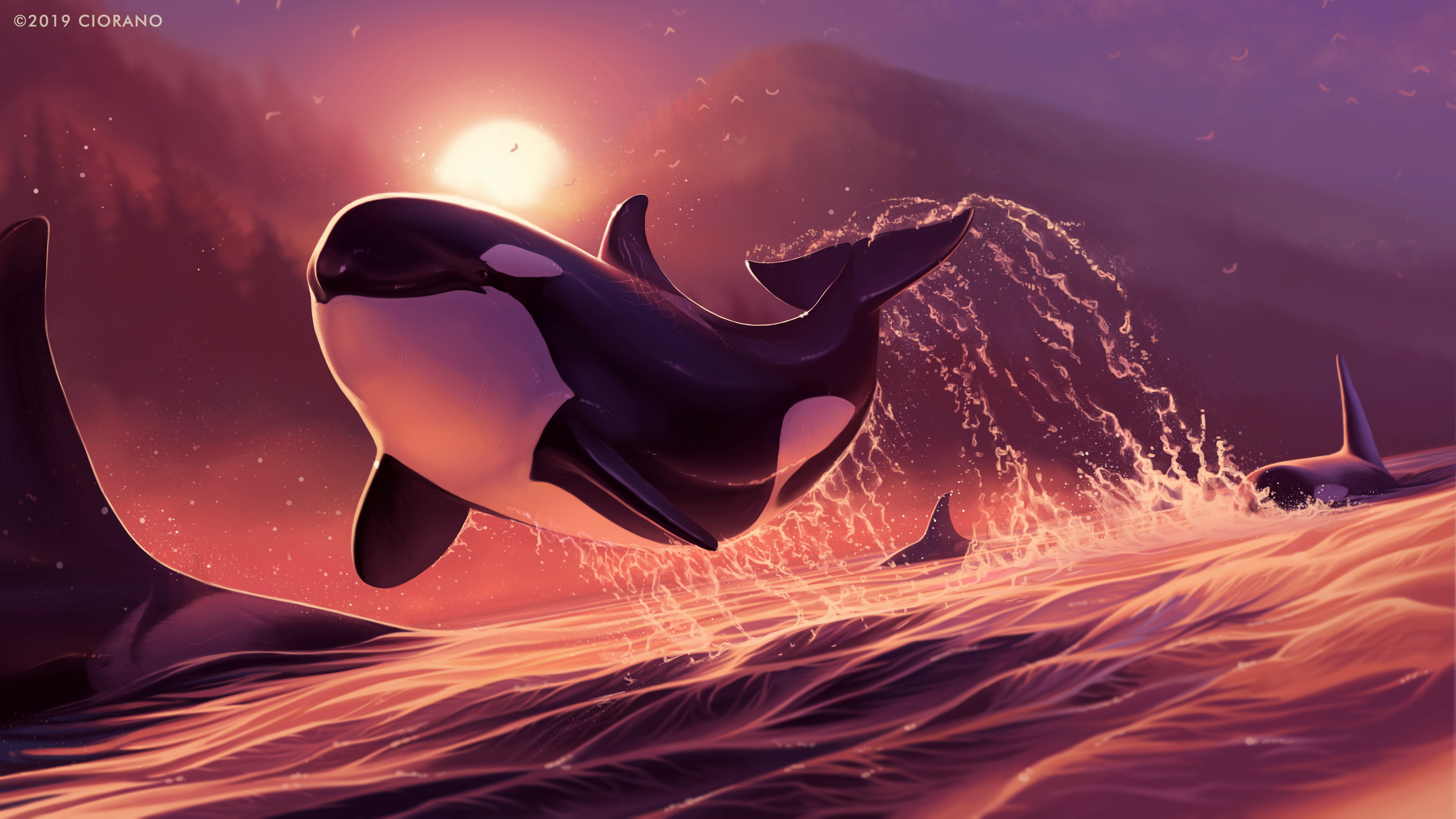 General 5250x2953 digital art artwork illustration drawing digital painting water sea animals whale orca dolphin nature landscape Sun sun rays sunset dusk mountains