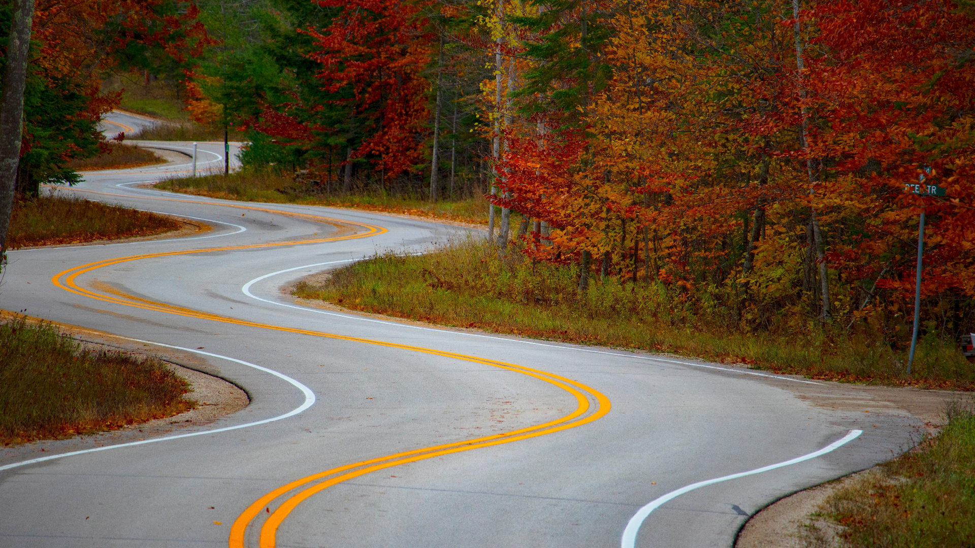 General 1920x1080 nature trees grass plants forest fall road hairpin turns Wisconsin USA