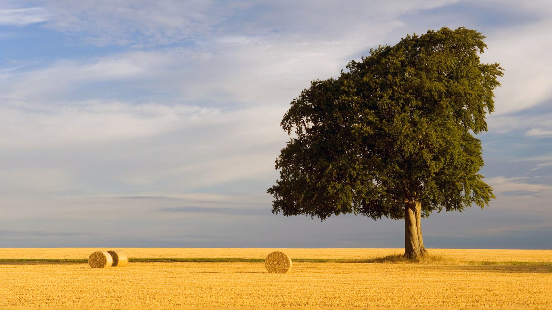 General 1920x1080 trees nature grass sky hay bales field