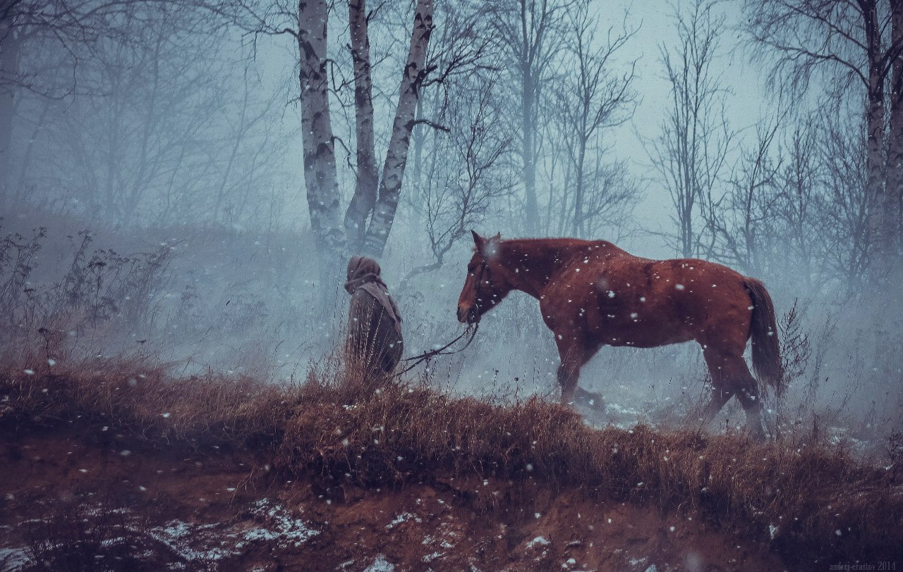 General 1280x812 forest men animals horseman trees horse snowing mist winter birch gray brown overcast dirt snow
