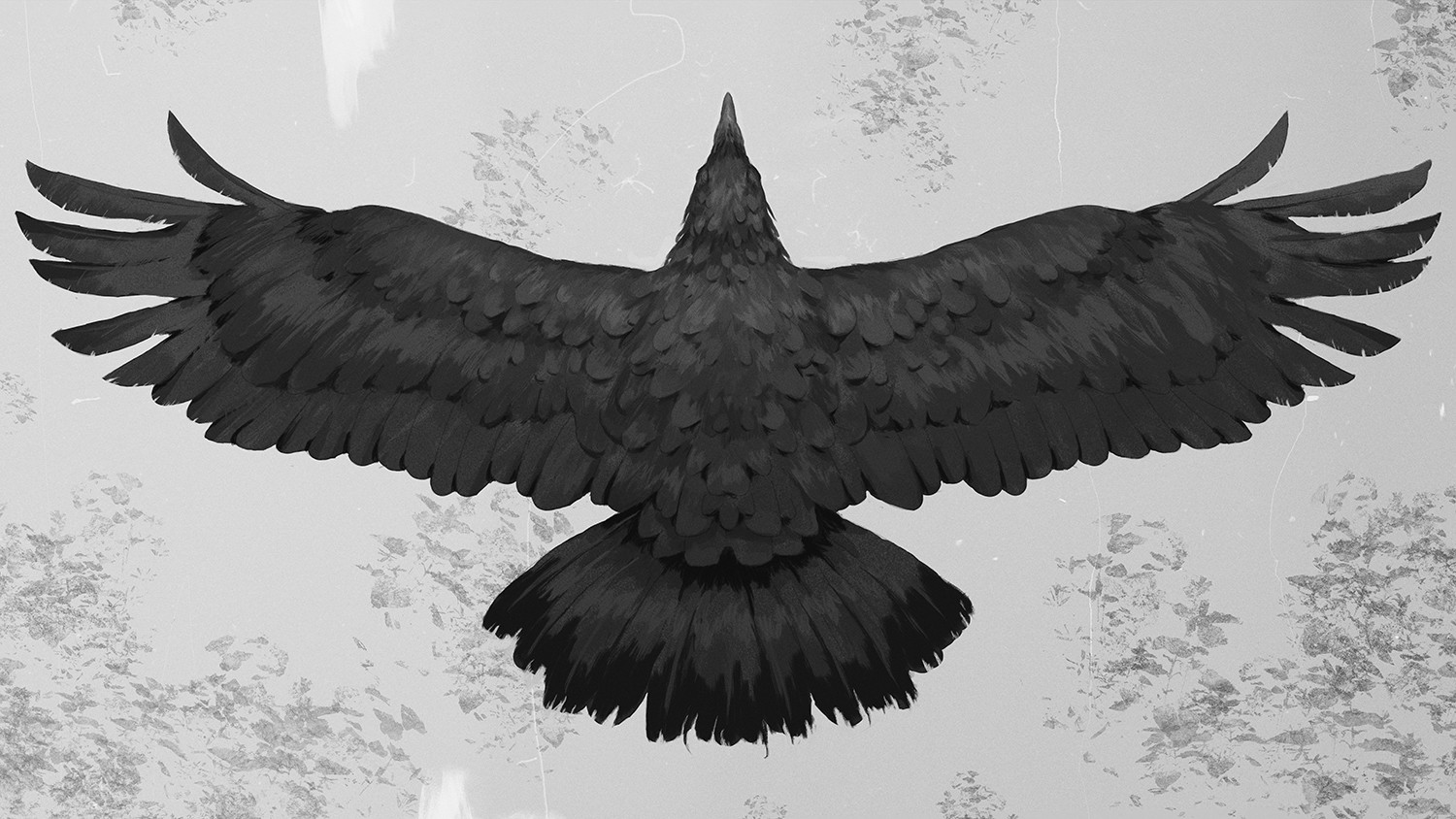 General 1500x844 birds crow feathers