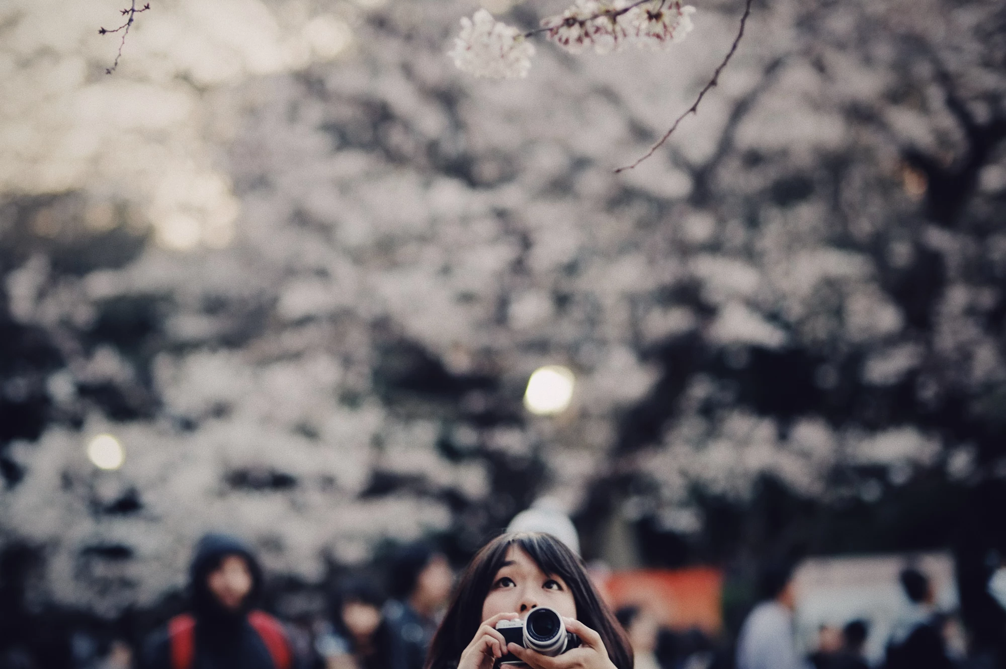 General 2000x1330 camera Asian bokeh women film grain cherry blossom