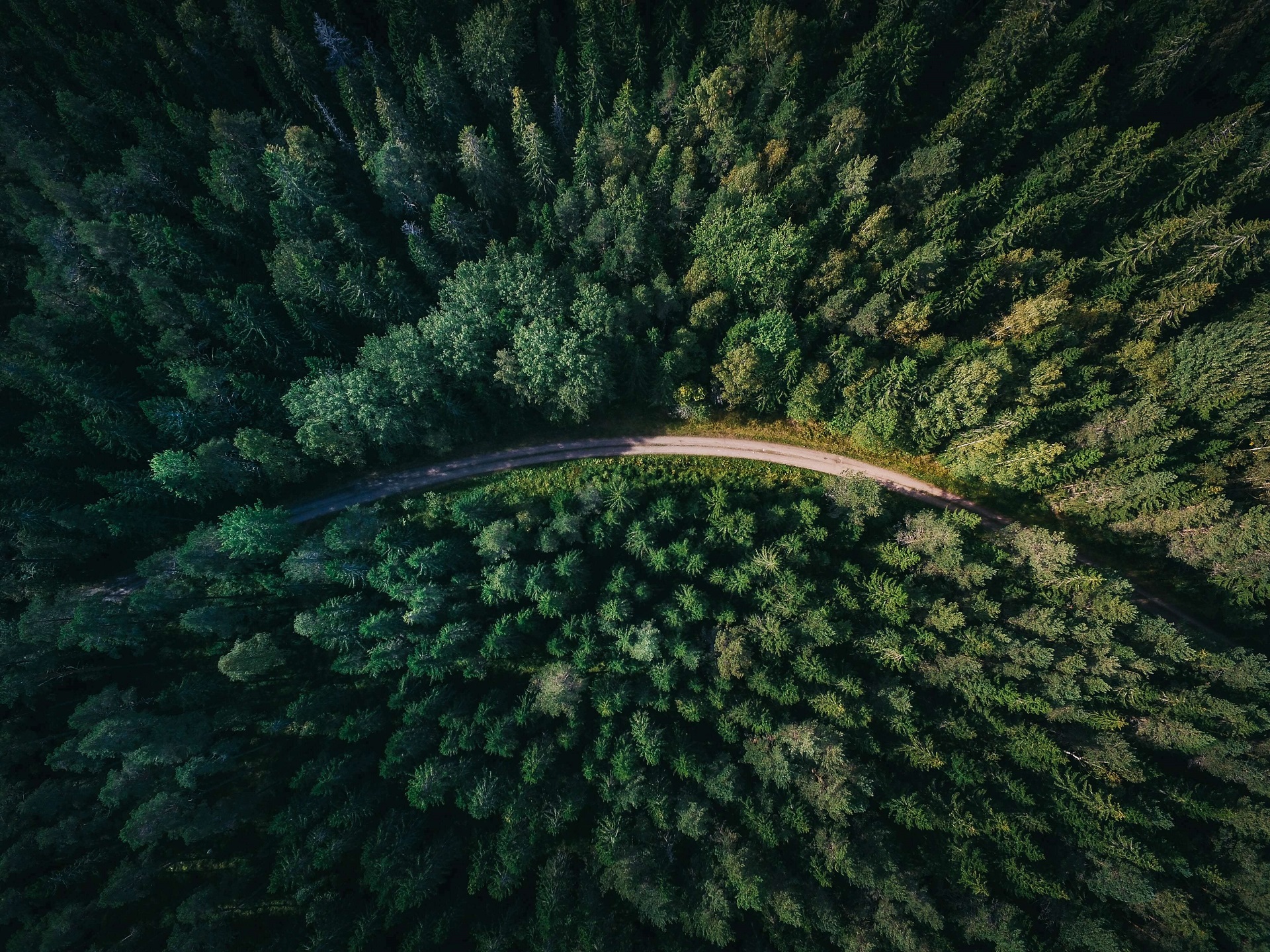 General 1920x1440 forest trees nature road path aerial view