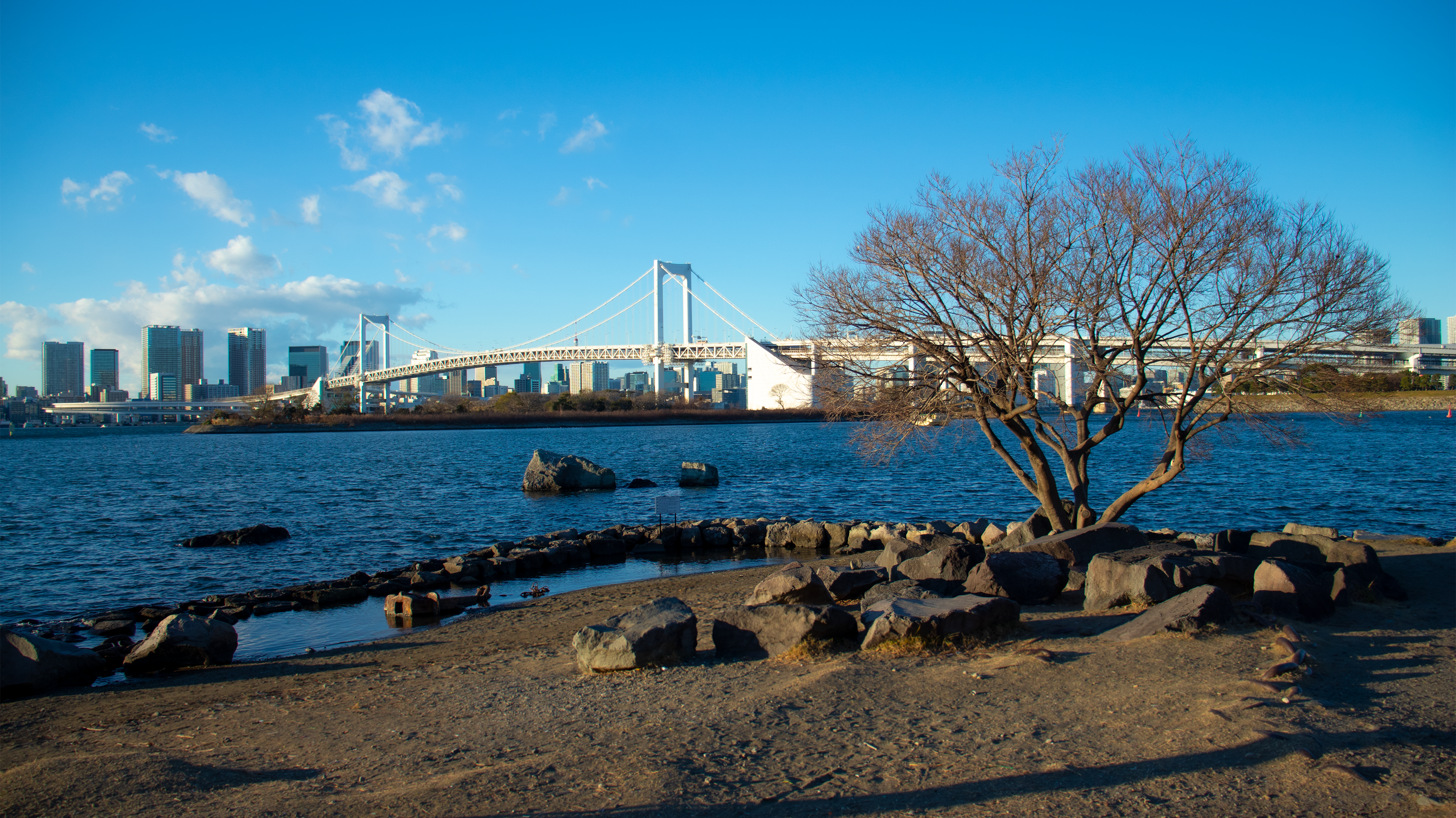General 4320x2430 Japan odaiba Rainbow Bridge beach rocks trees Tokyo