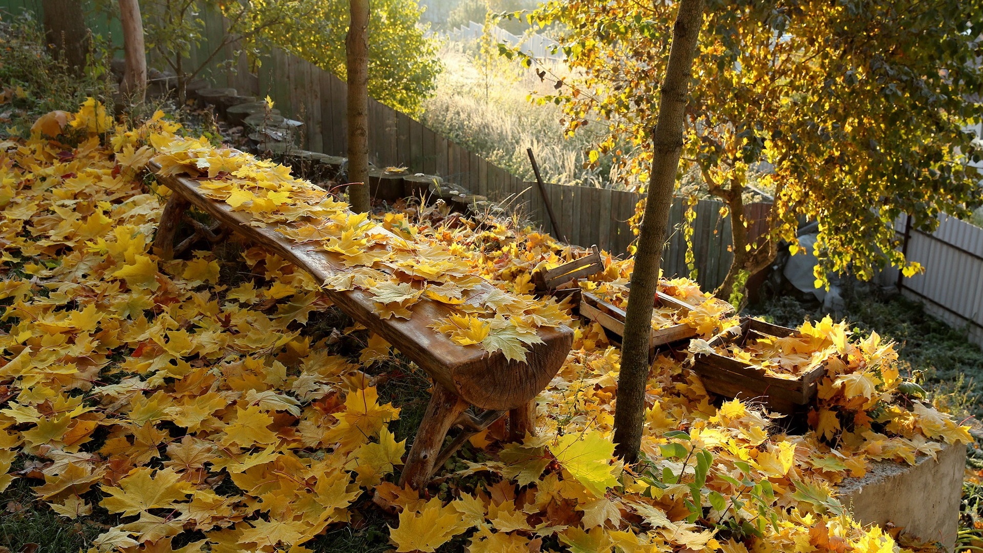 General 1920x1080 fall leaves bench sunlight trees fence nature