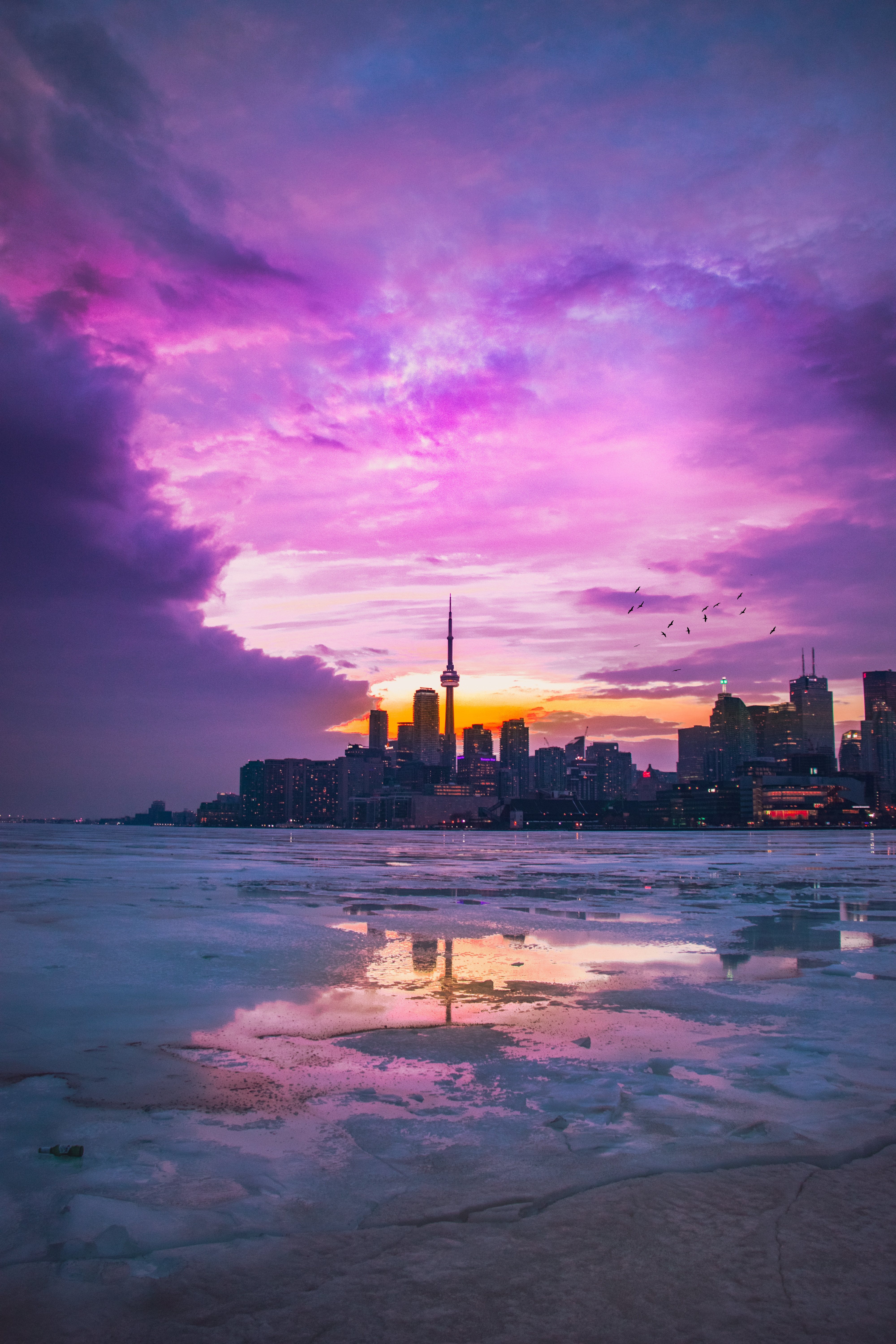 Download wallpapers Toronto, 4K, CN Tower, skyscrapers, night, cityscape,  city lights, Canada, television tower for desktop free. Pictures for  desktop free