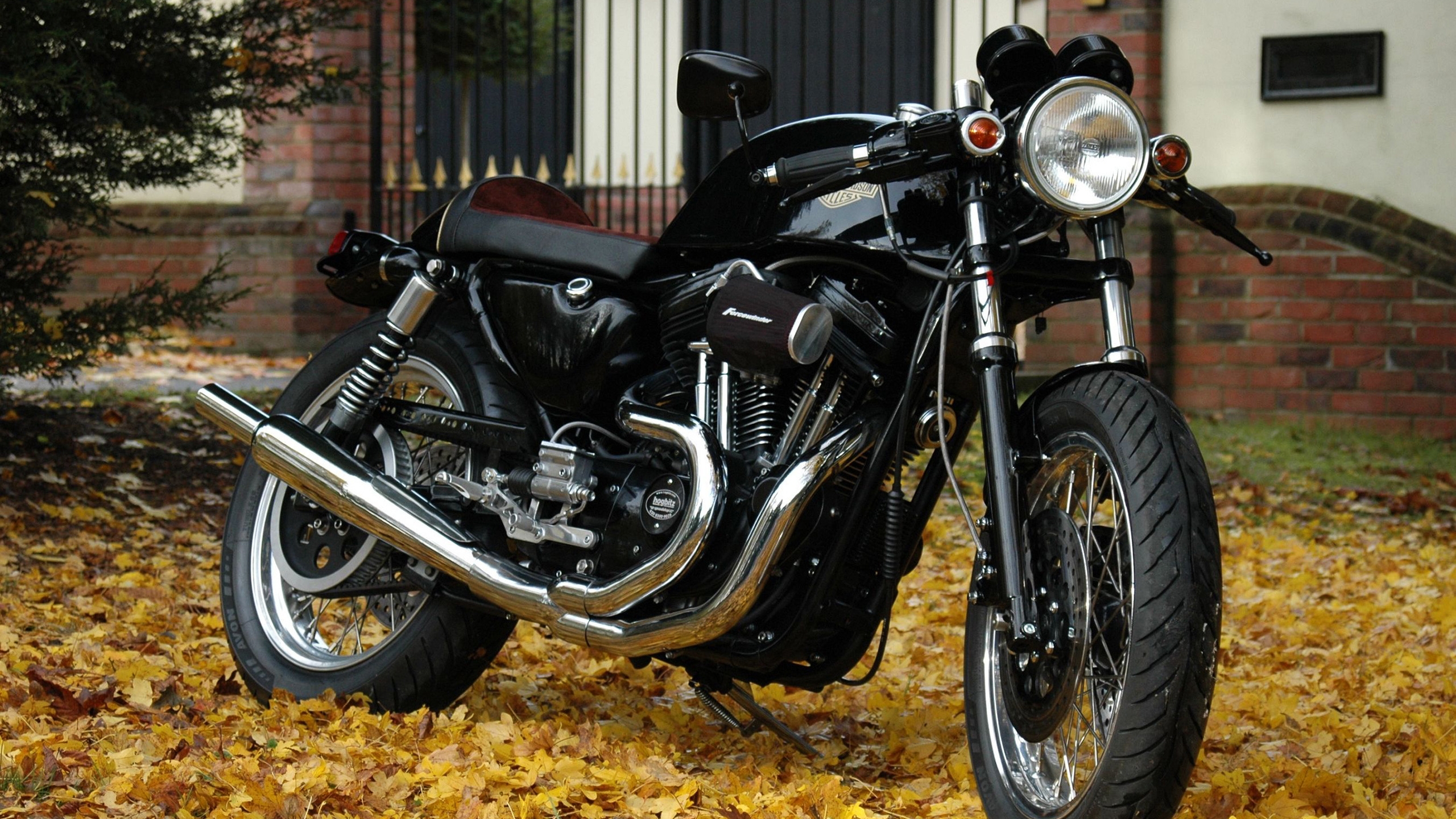 General 2560x1440 motorcycle vehicle Harley-Davidson black motorcycles American motorcycles