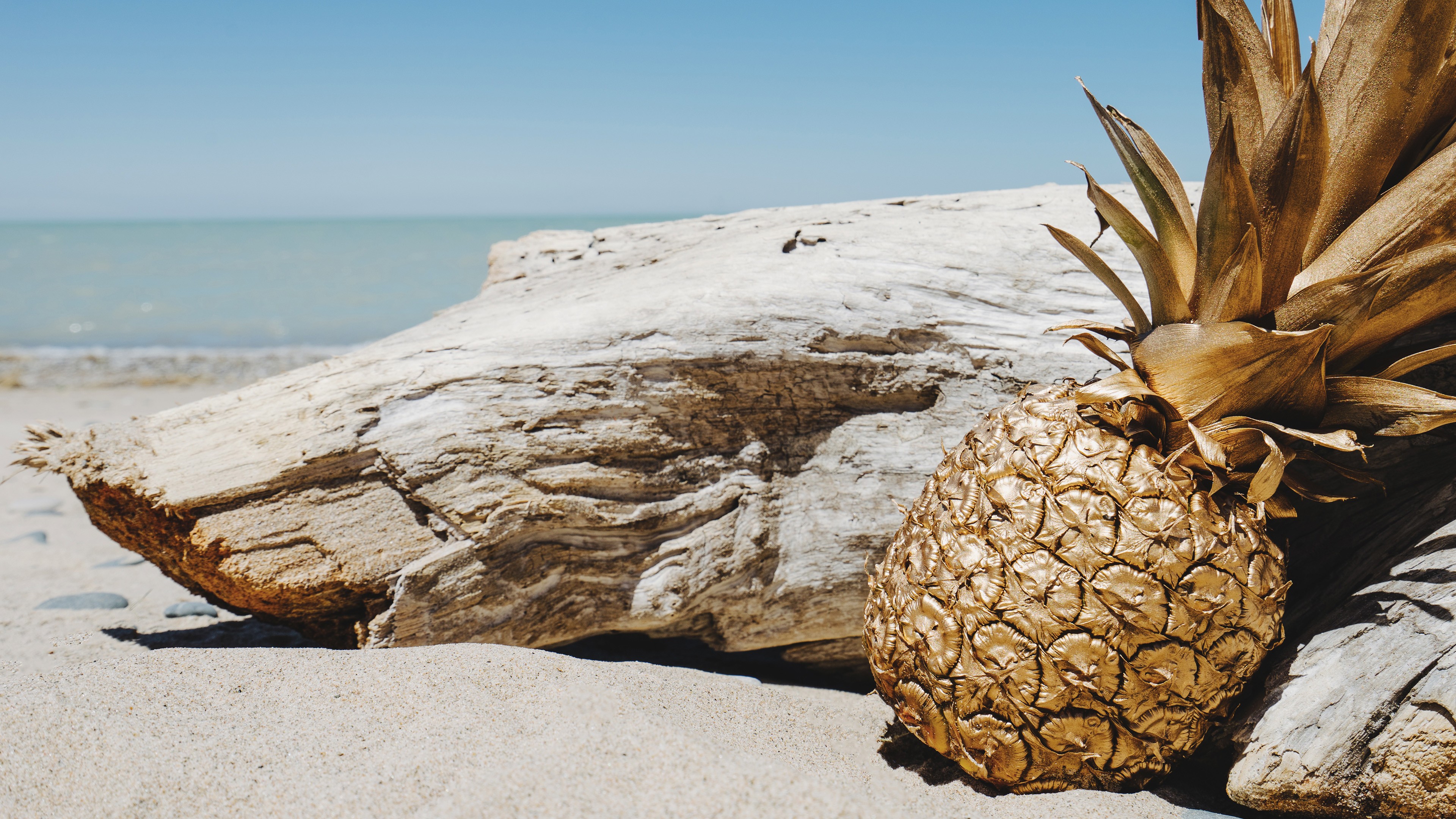 General 3840x2160 photography pineapples beach landscape