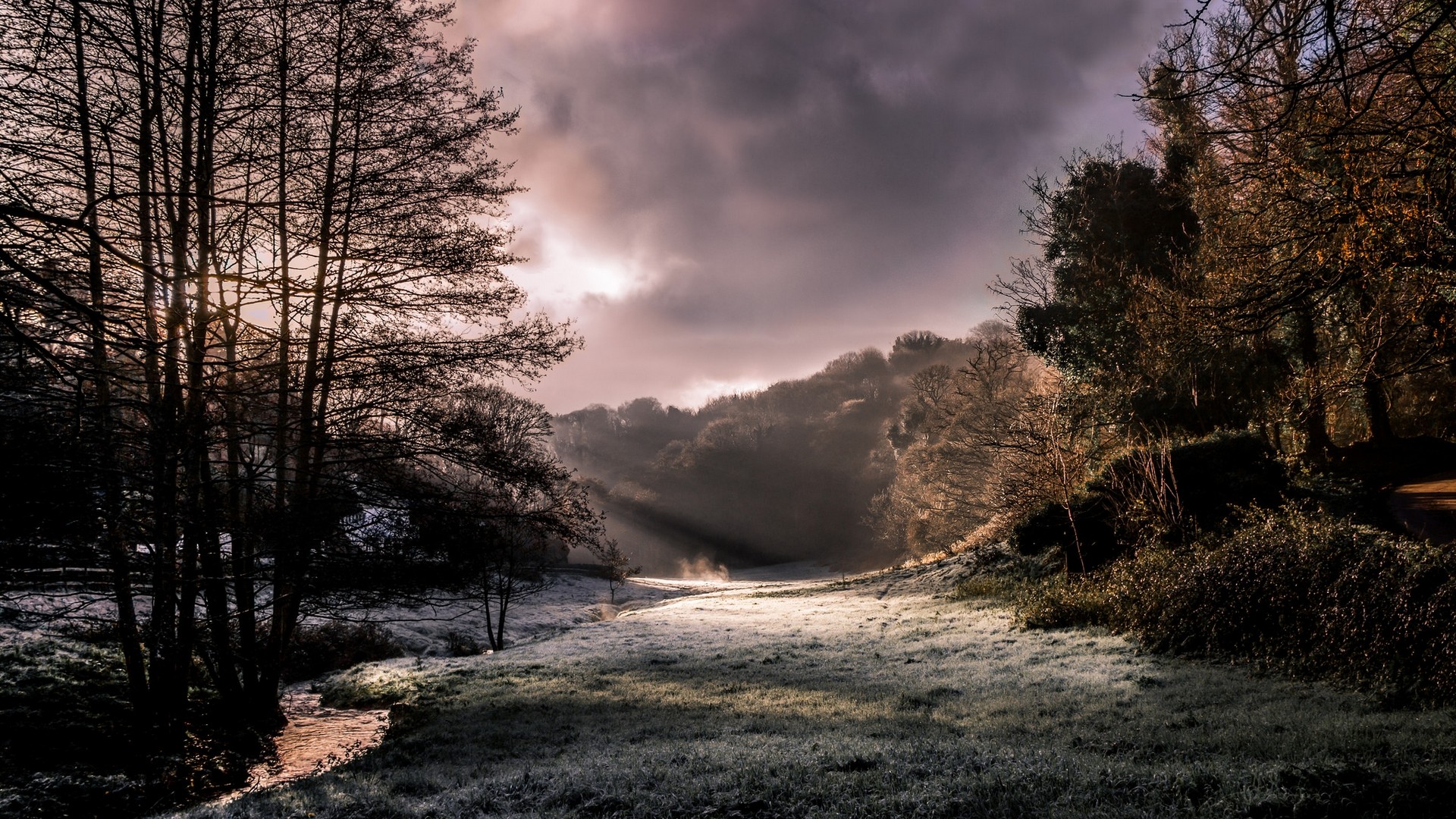 General 1920x1080 nature landscape morning sunlight creeks forest frost clouds sun rays trees cold UK England