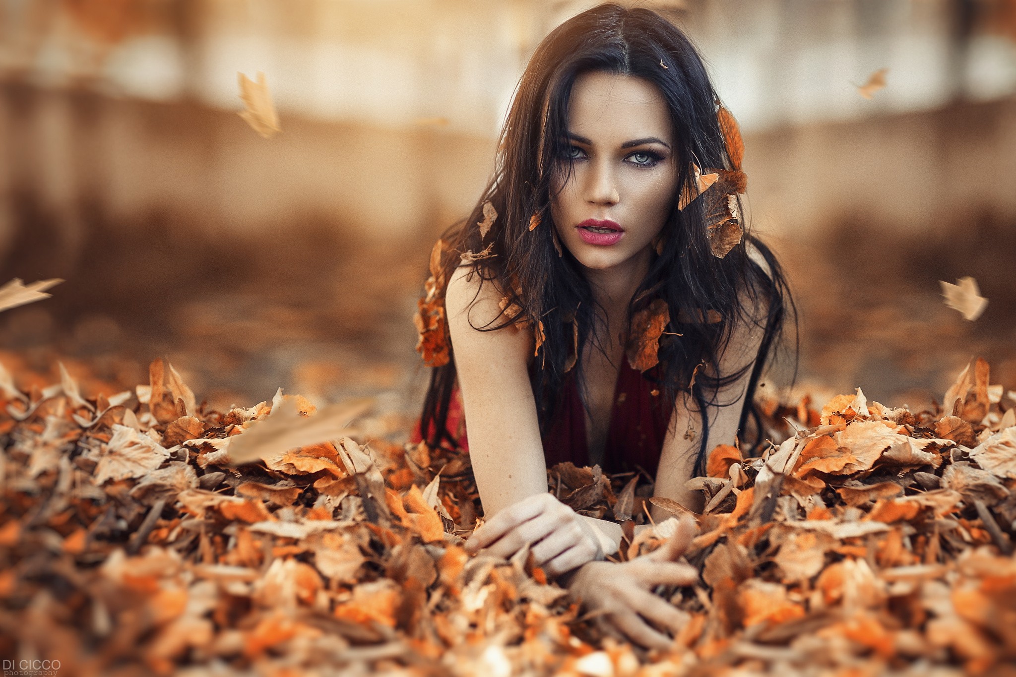 People 2048x1365 women model Alessandro Di Cicco long hair women outdoors looking at viewer face open mouth makeup leaves lying on front fallen leaves black hair depth of field fall brunette parted lips