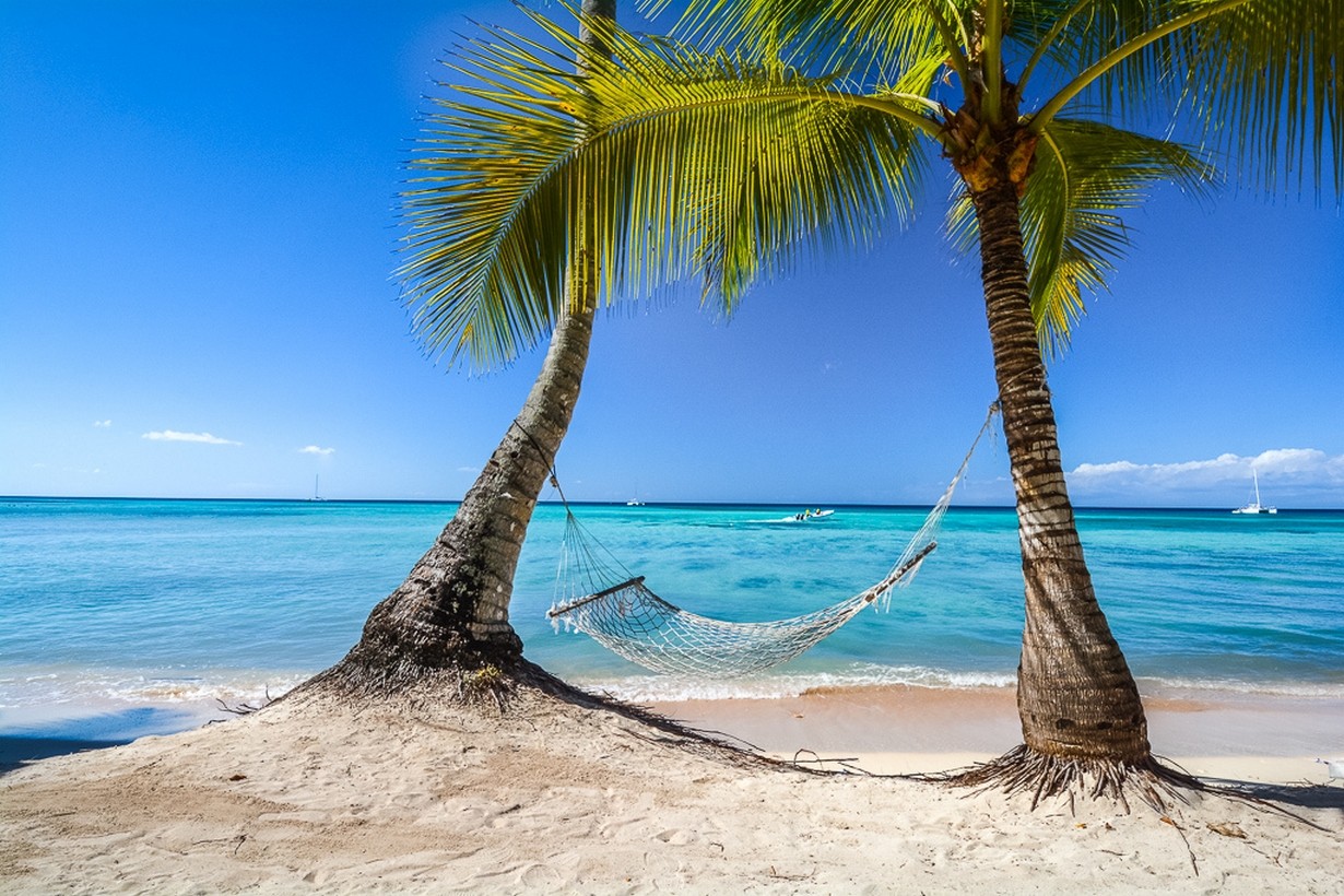 General 1230x820 photography tropical beach palm trees hammocks Caribbean sea summer sand sailboats island Dominican Republic cyan horizon