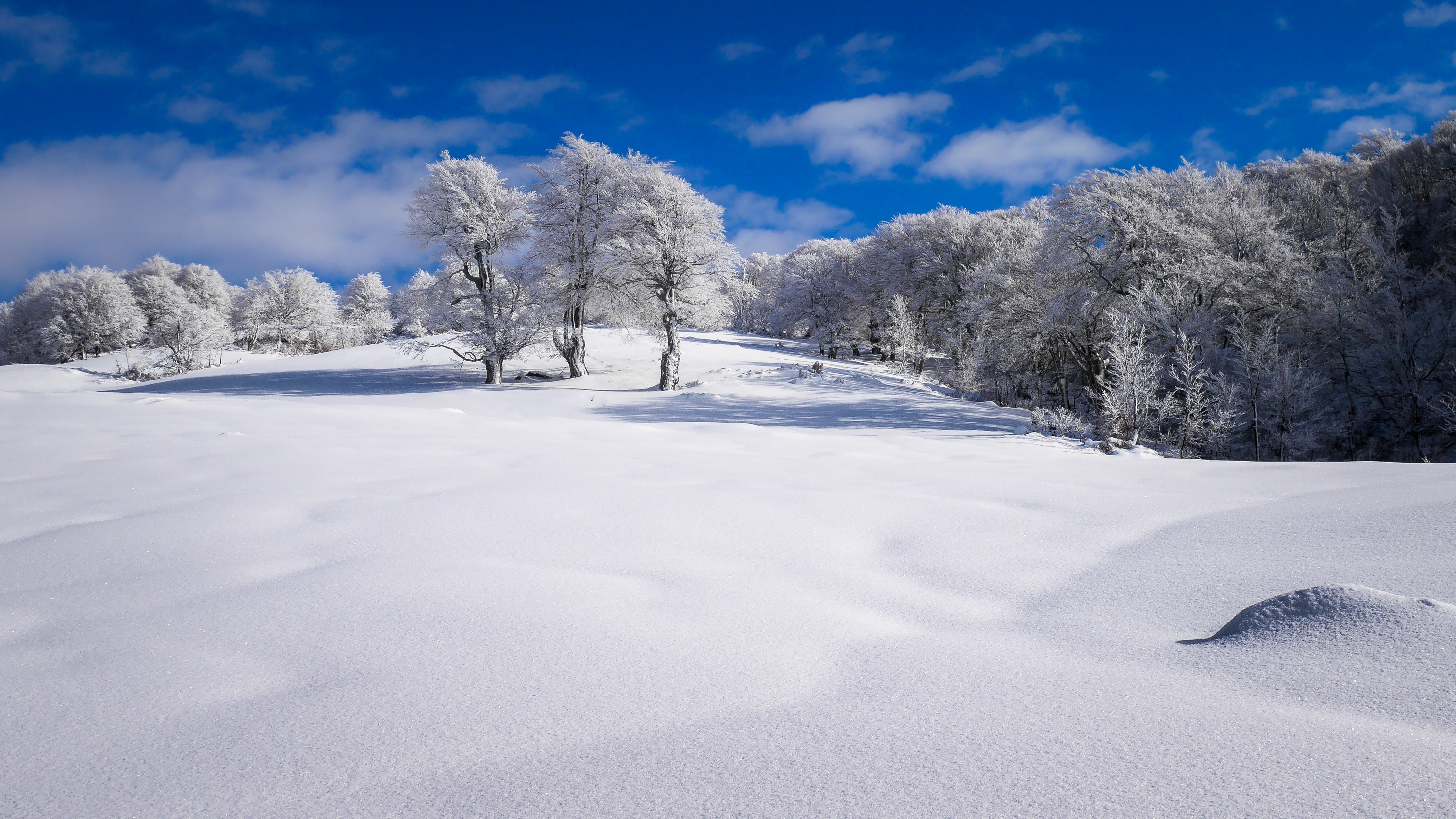 General 3000x1688 snow winter clear sky trees