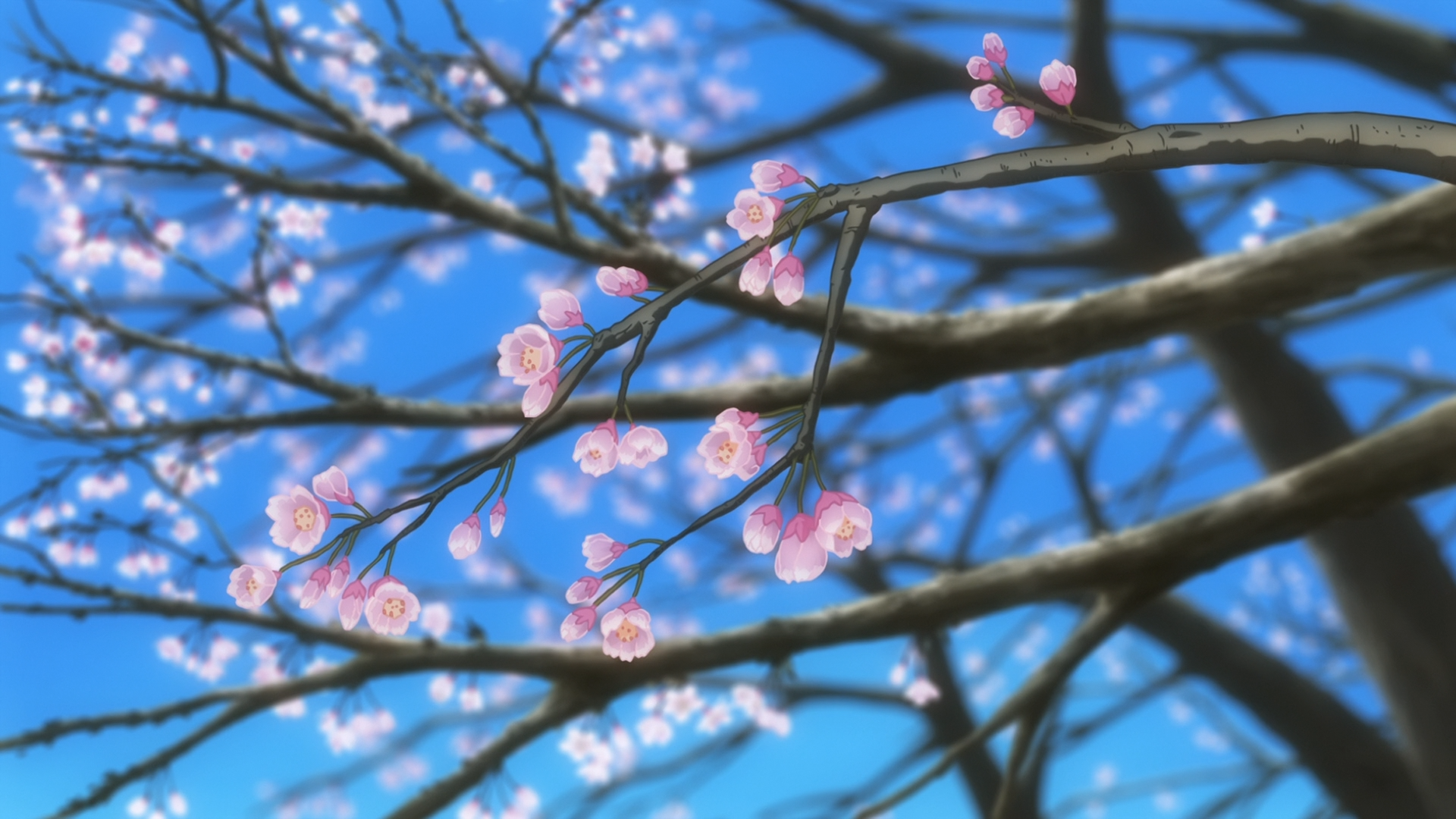 Anime 1920x1080 Non Non Biyori flowers trees cherry blossom anime