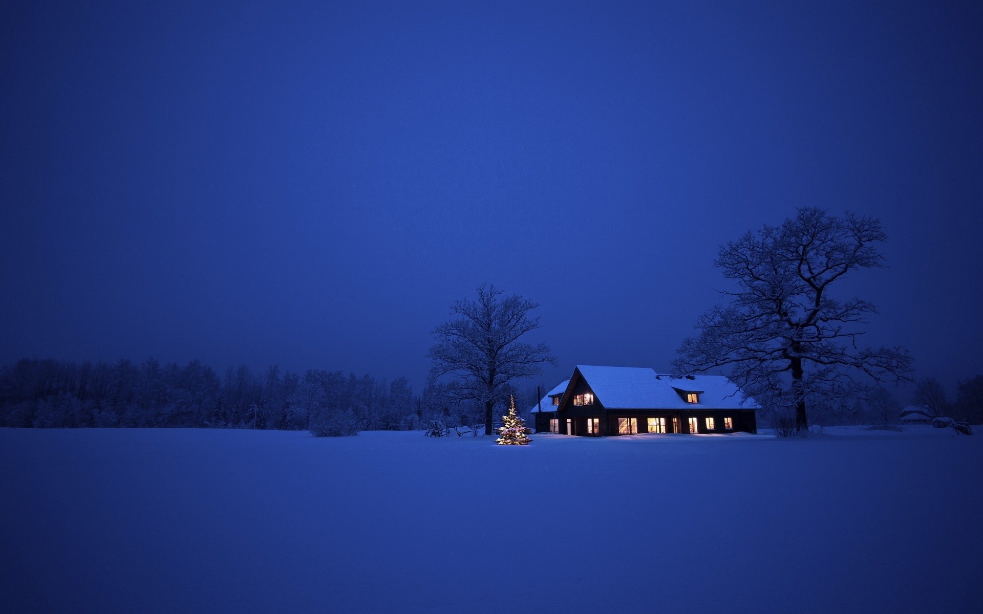 General 1920x1200 winter house snow Christmas tree night blue cold outdoors Christmas lights sky low light
