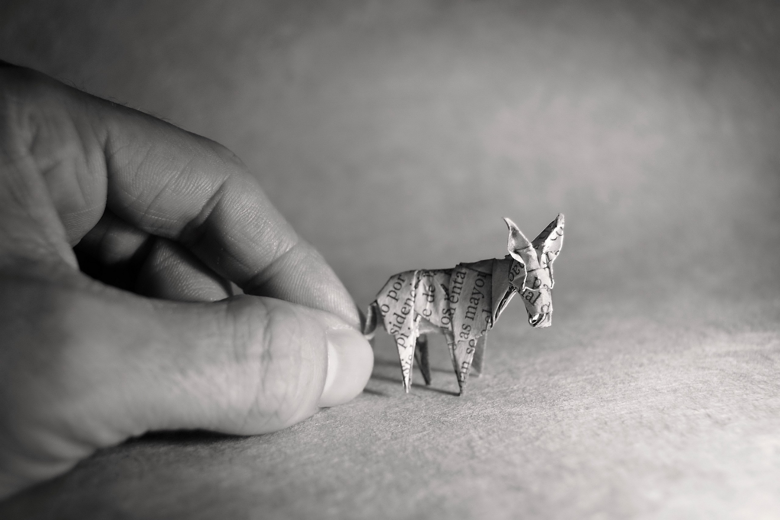 General 2560x1706 monochrome paper hands origami donkey closeup animals