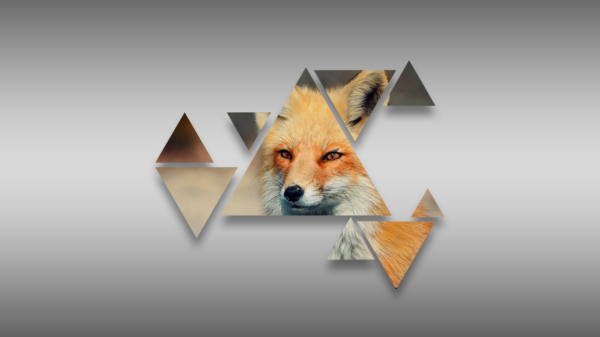 General 1920x1080 triangle fox gray