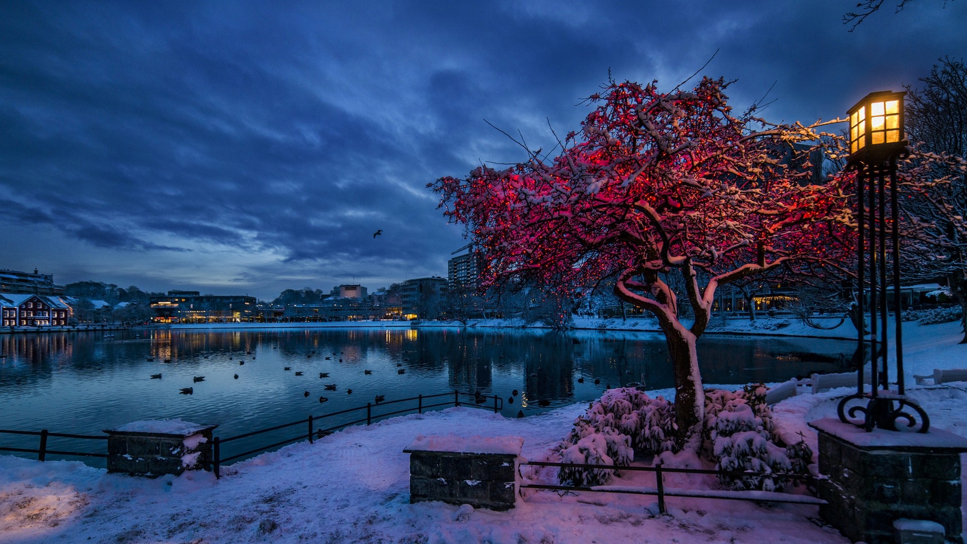 General 1920x1080 trees city cityscape Norway evening winter snow lights water lake clouds branch house reflection birds building lamp city lights blue pink red calm waters calm cold