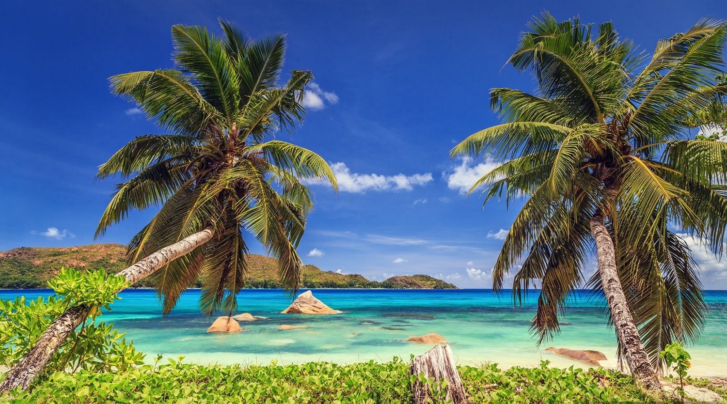 General 1500x834 nature landscape tropical beach island palm trees sea summer Seychelles
