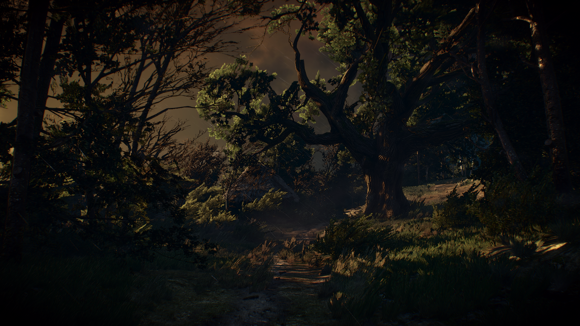 General 1920x1080 The Witcher 3: Wild Hunt video games forest PC gaming screen shot RPG