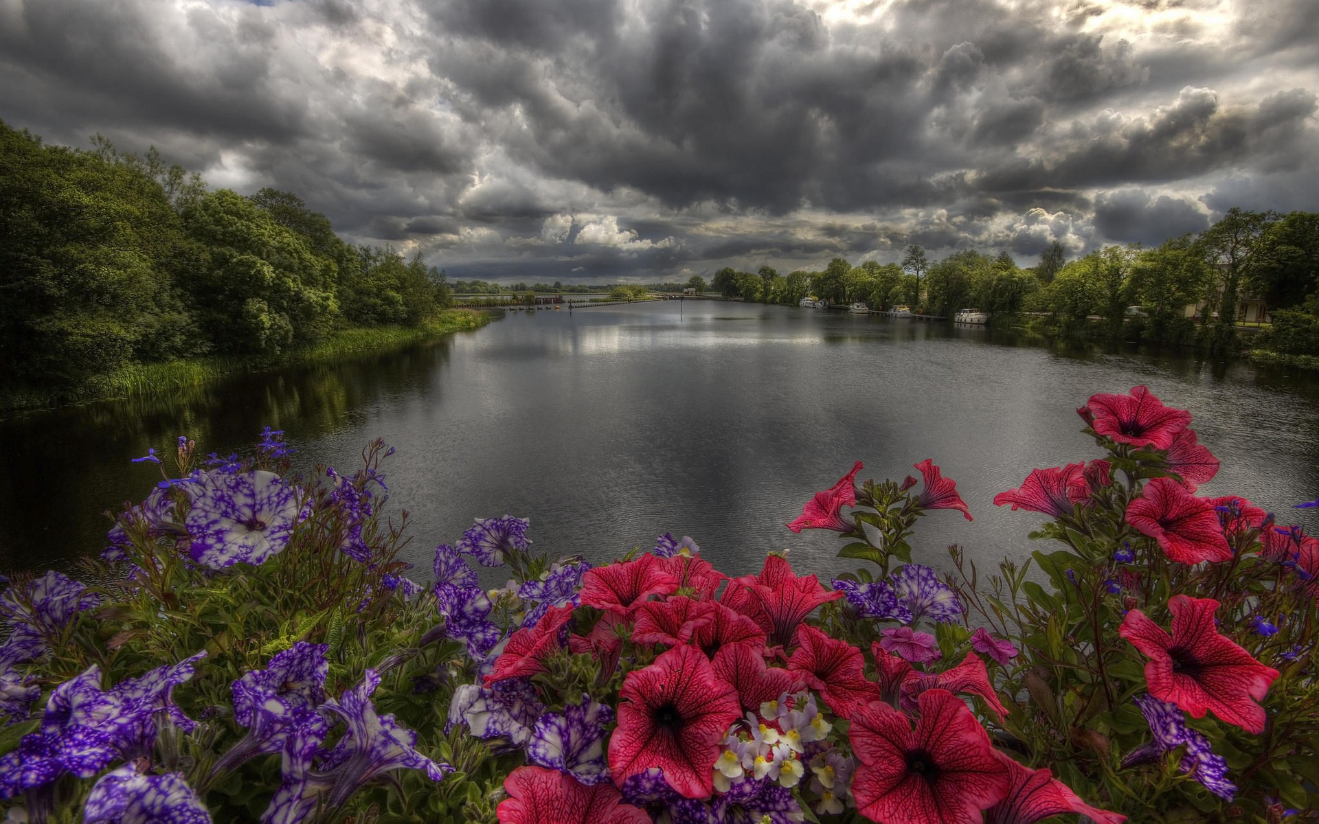 General 1920x1200 flowers river trees sky clouds