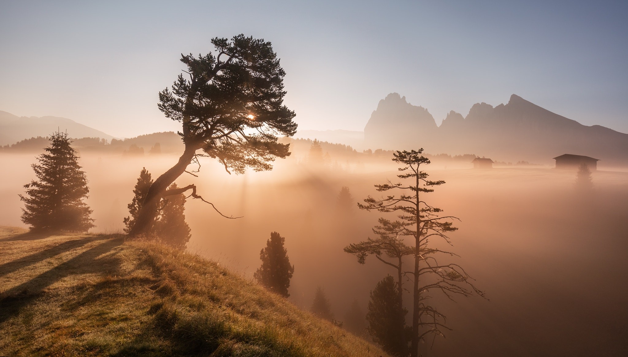 General 2048x1164 nature mountains trees landscape photography mist