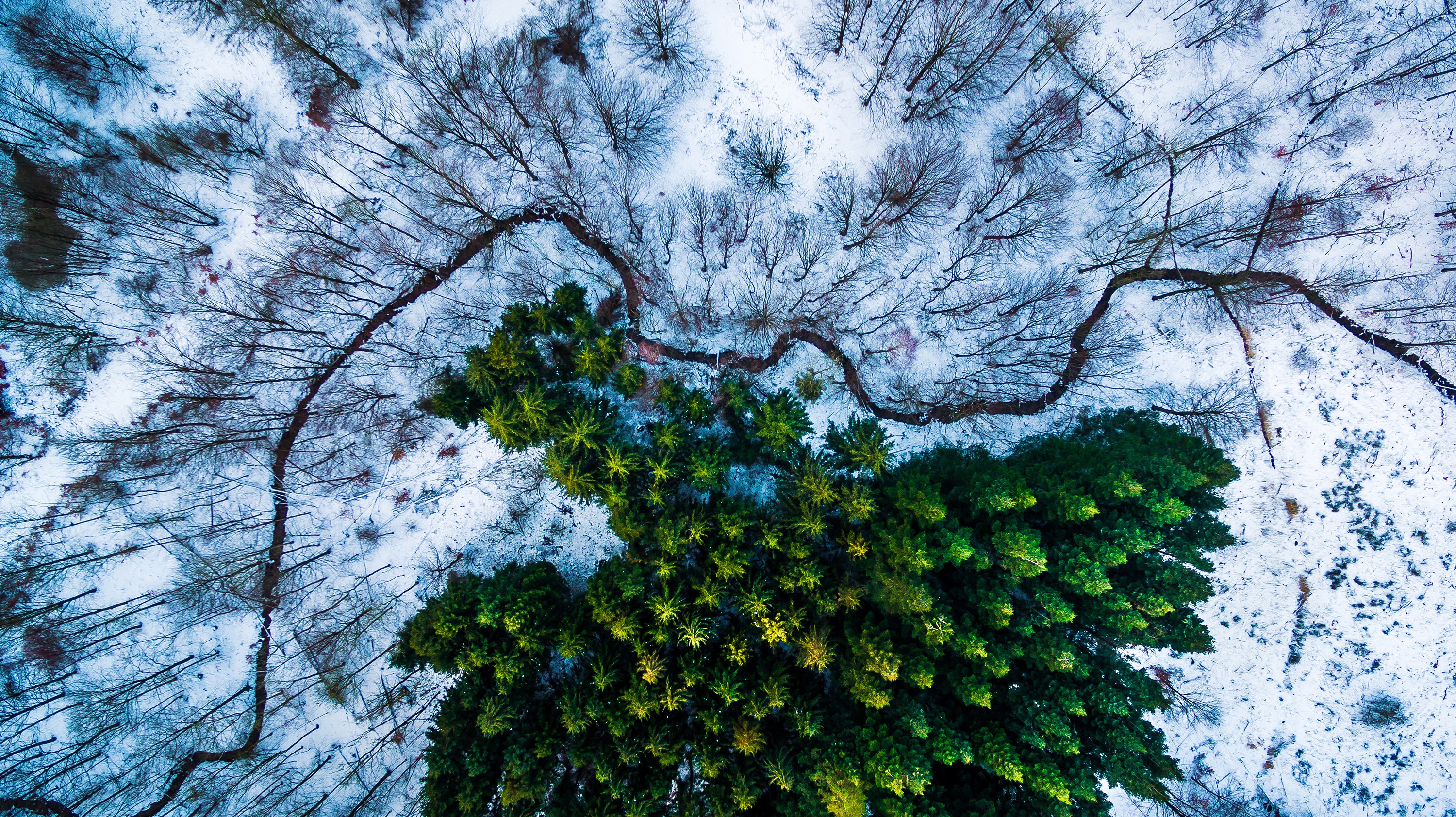 General 3000x1685 drone Denmark snow trees aerial view winter cold outdoors creeks