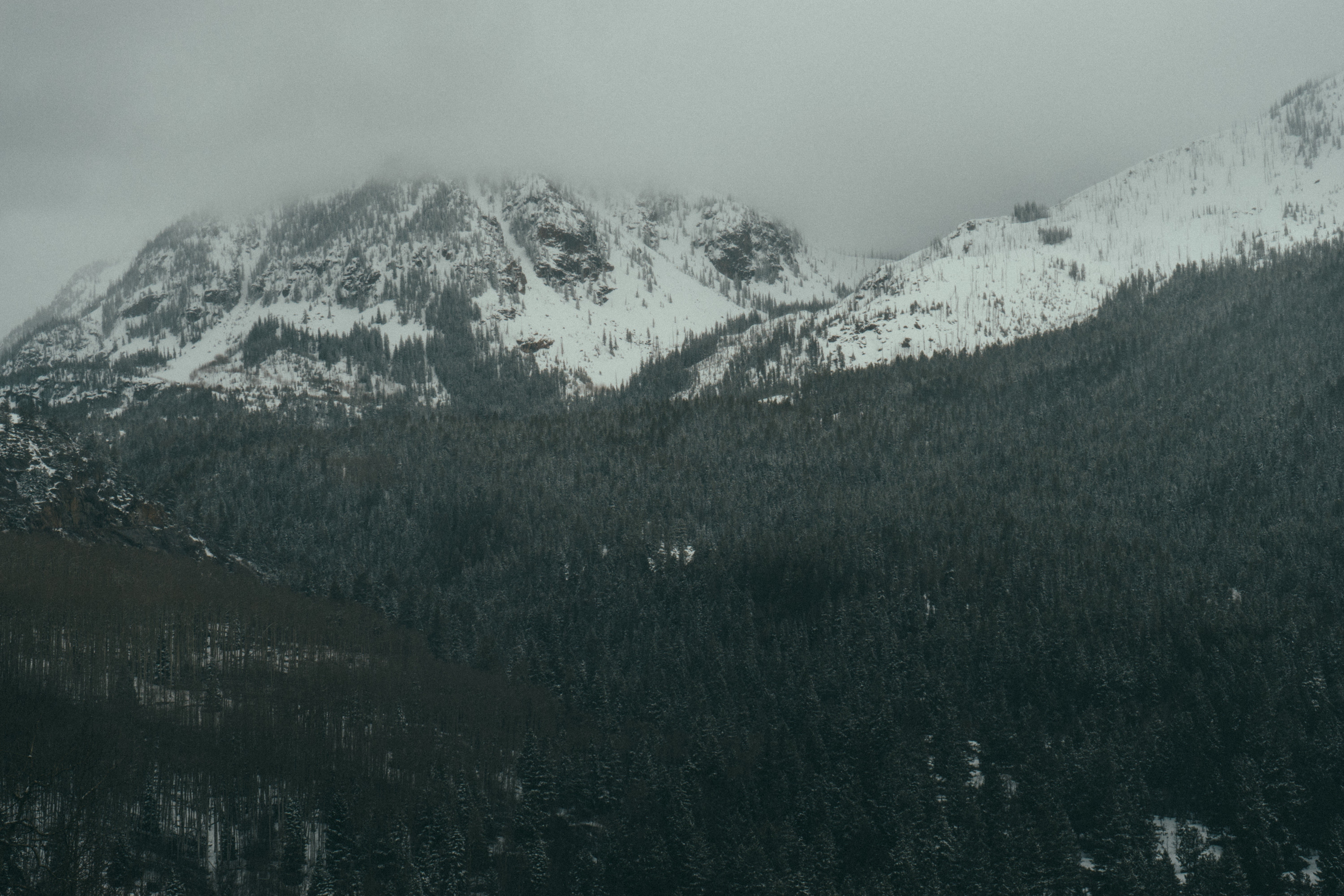 General 6000x4000 nature snow trees mountains cold snowy peak snowy mountain