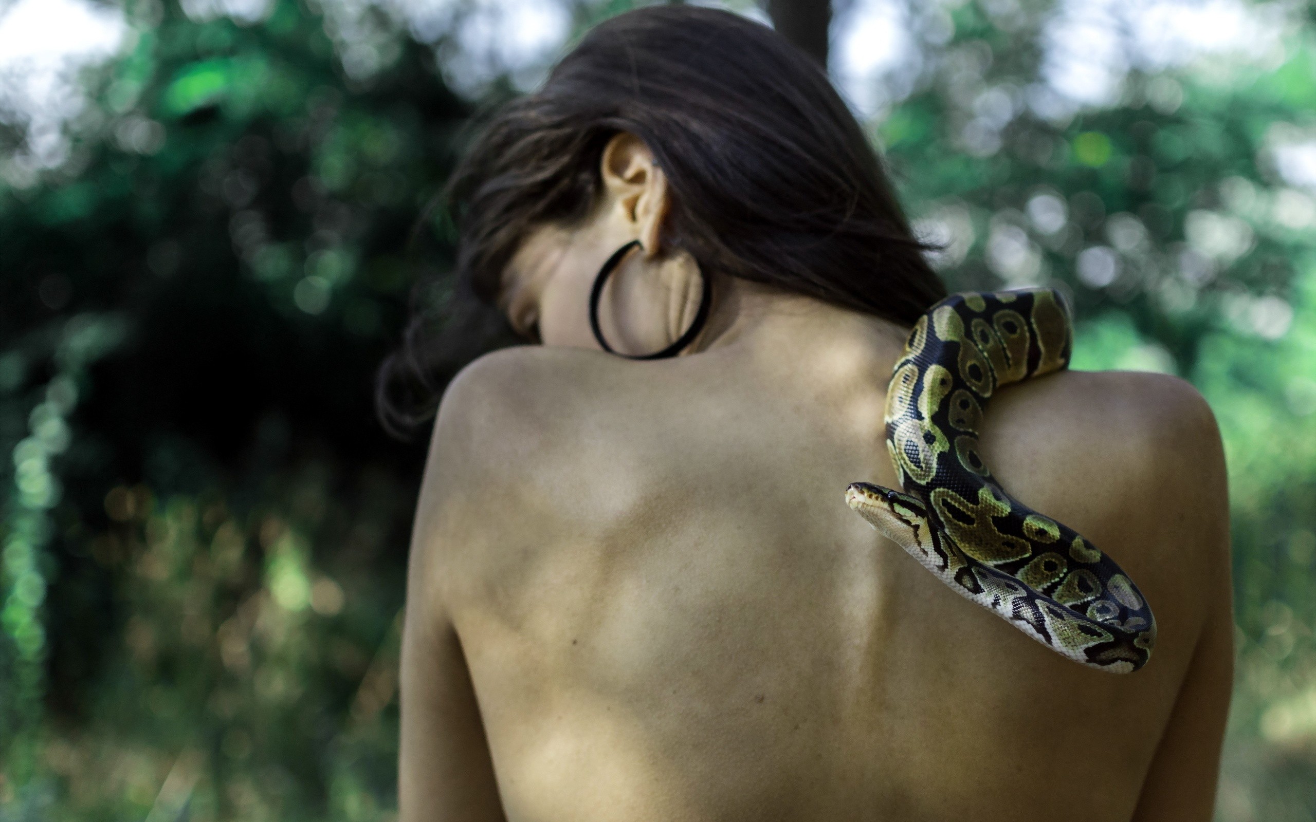 People 2560x1600 snake women model rear view brunette women outdoors implied nude