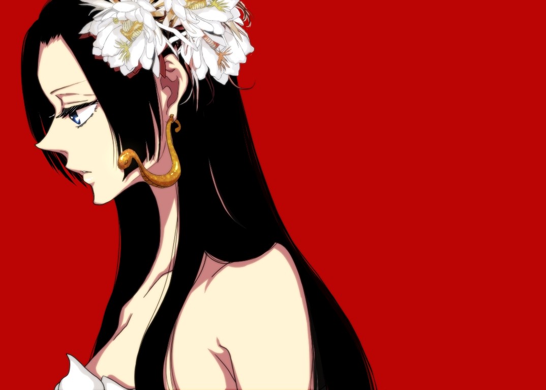 Anime 1074x768 anime One Piece anime girls flower in hair dark hair red background