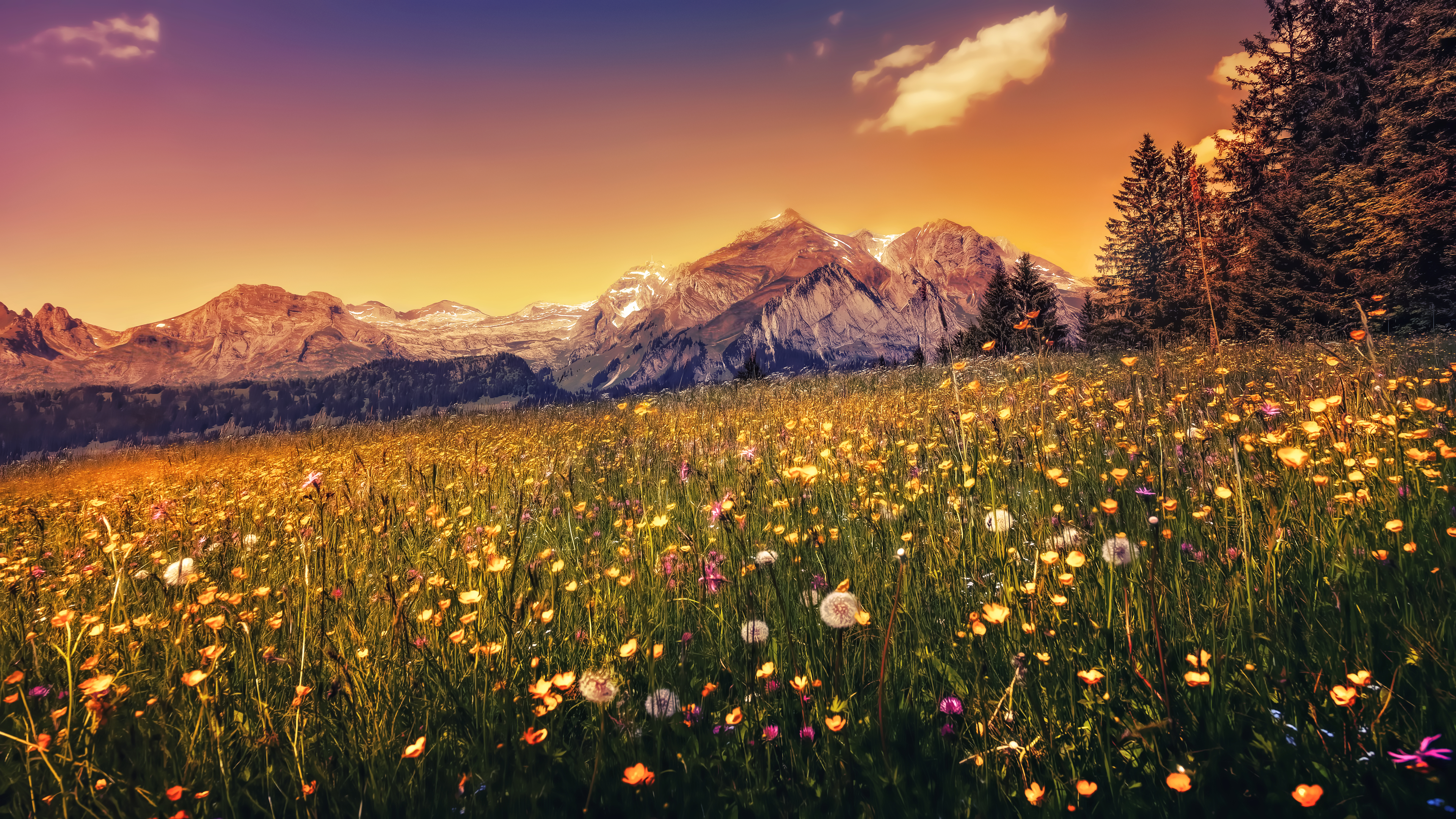 General 3840x2160 landscape nature mountains sunset panorama sunlight flowers